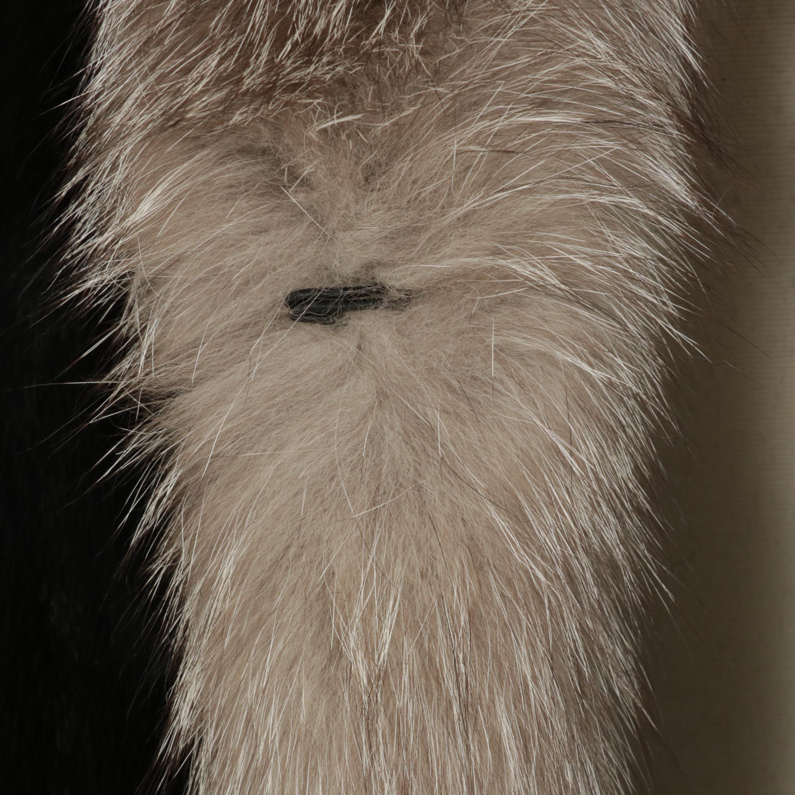 Mink Fur Full-Length Coat with Platinum Fox Fur Trim