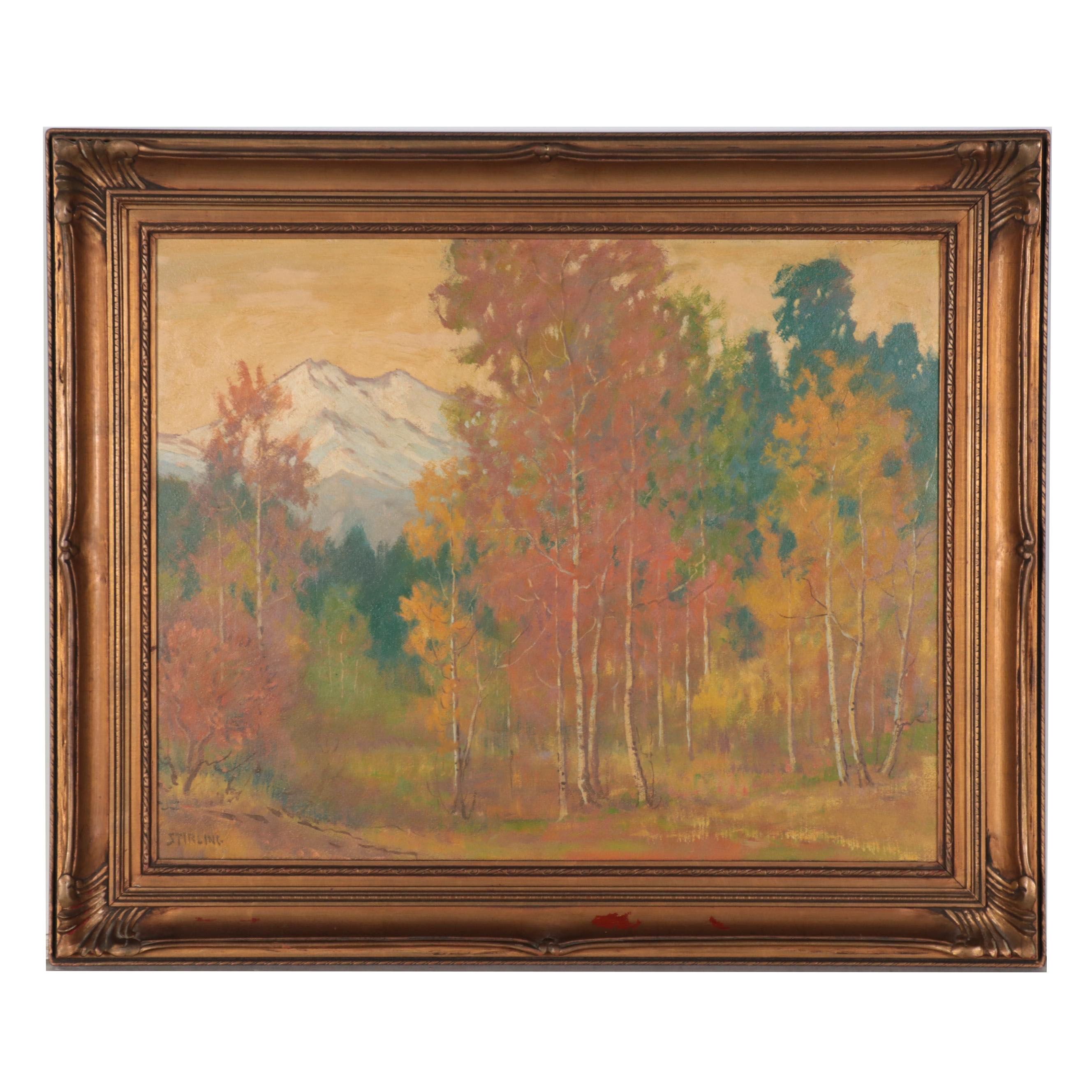 Dave Stirling Woodland Oil Painting "Flaming Autumn"