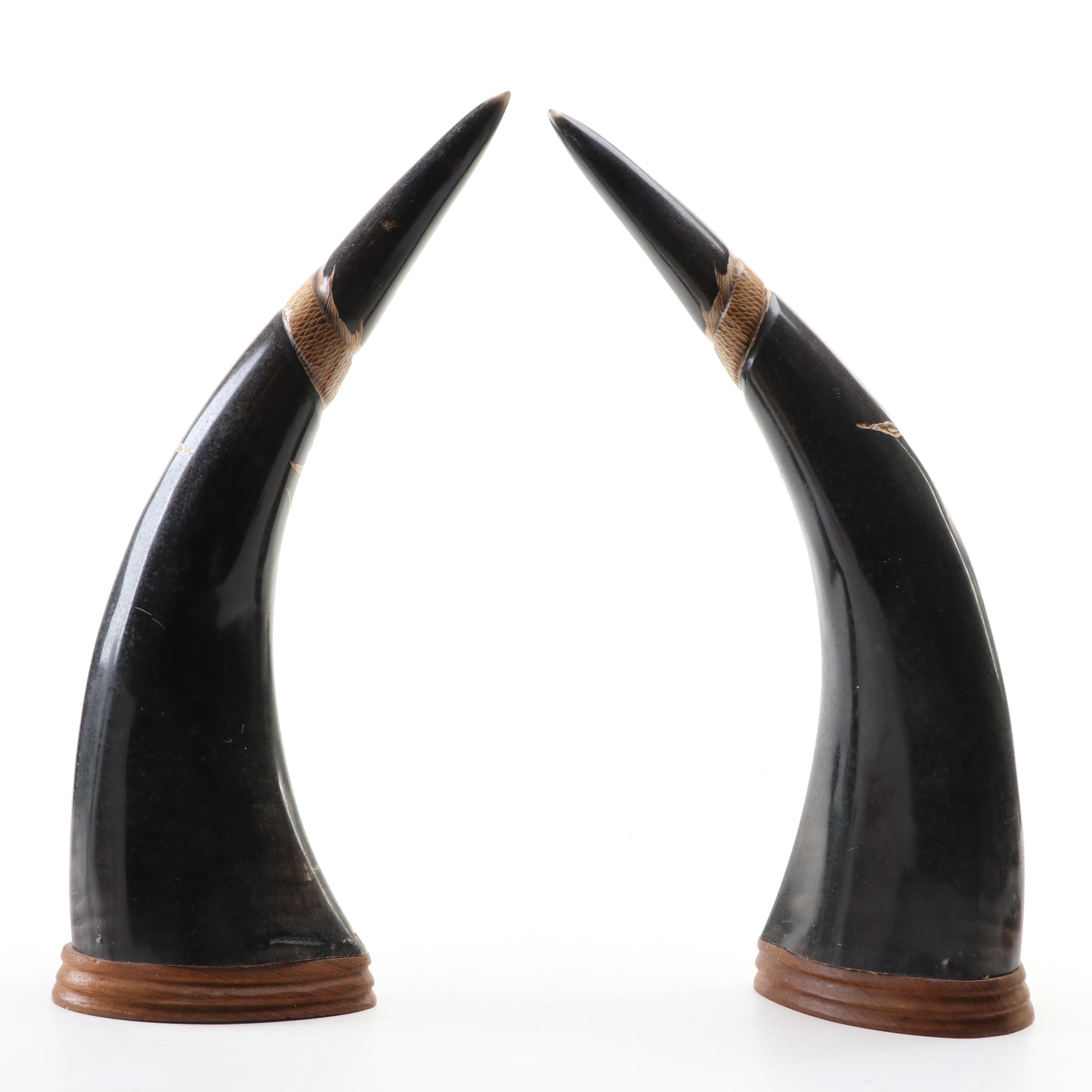 Pair of Carved Chinese Horns with Phoenix Motif
