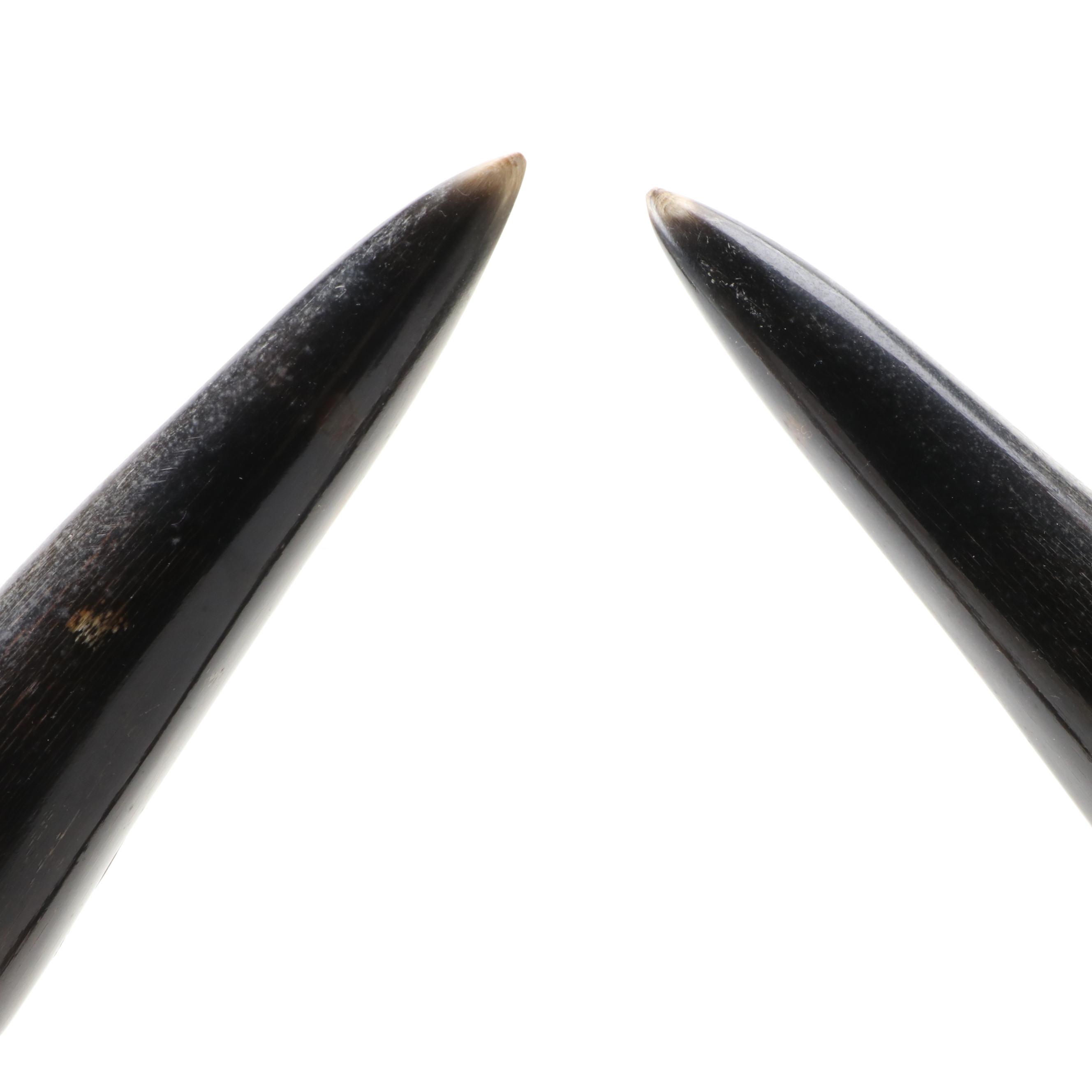 Pair of Carved Chinese Horns with Phoenix Motif