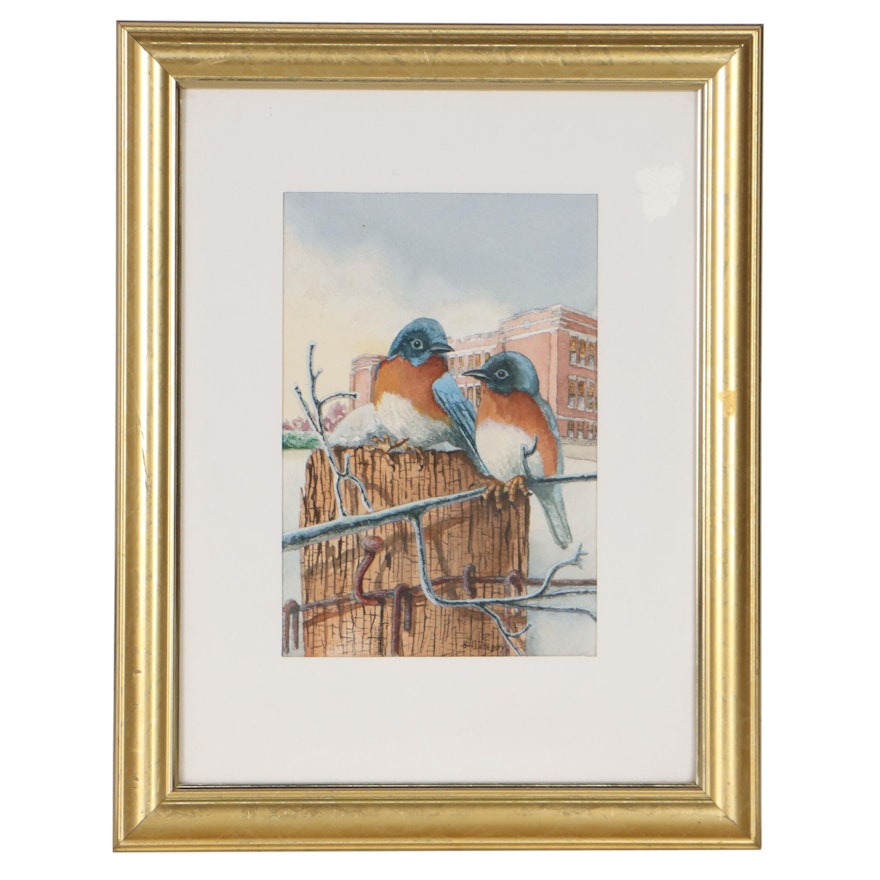 Bill Gregory Watercolor Paintings of Birds