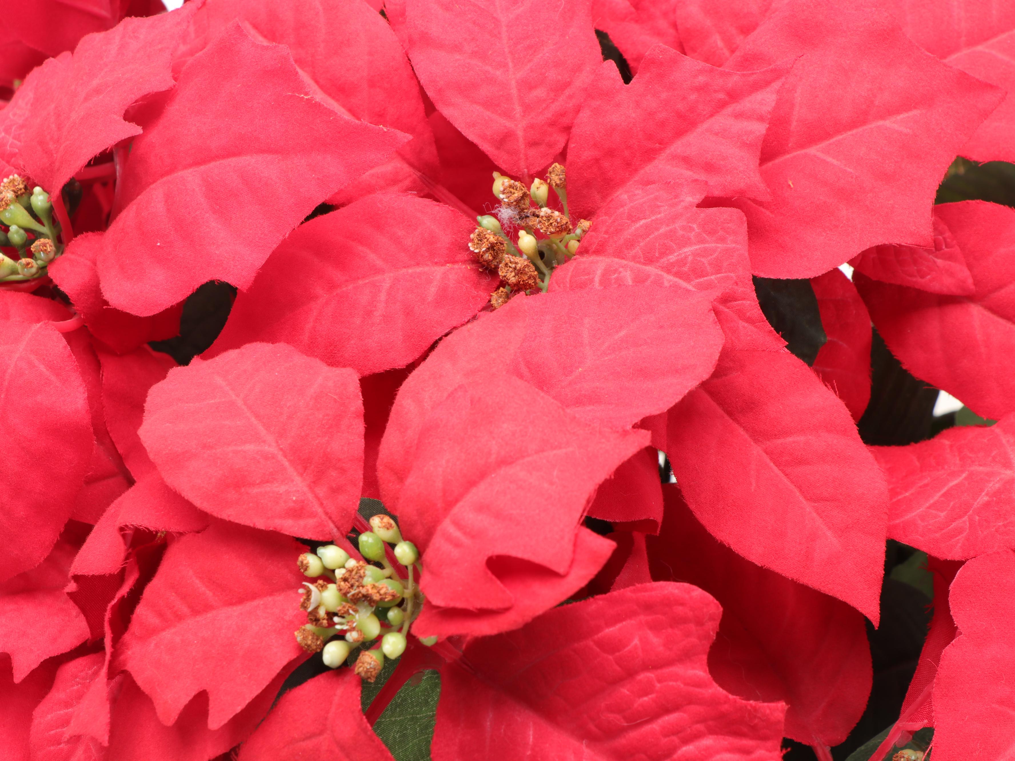 Artificial Poinsettia Plants in Metal Planters