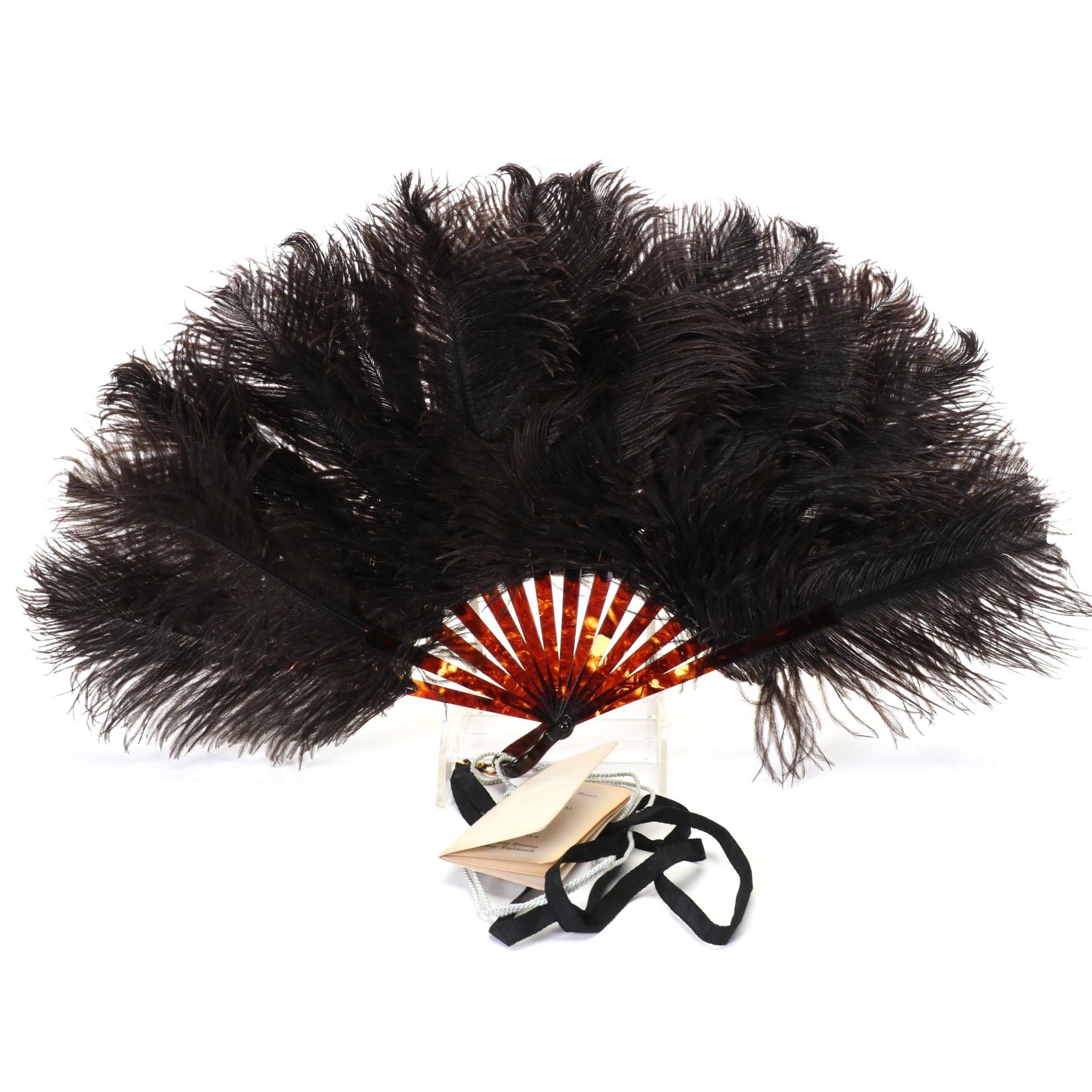 Ostrich Feather Folding Fan with Celluloid Sticks, Early to Mid-20th Century