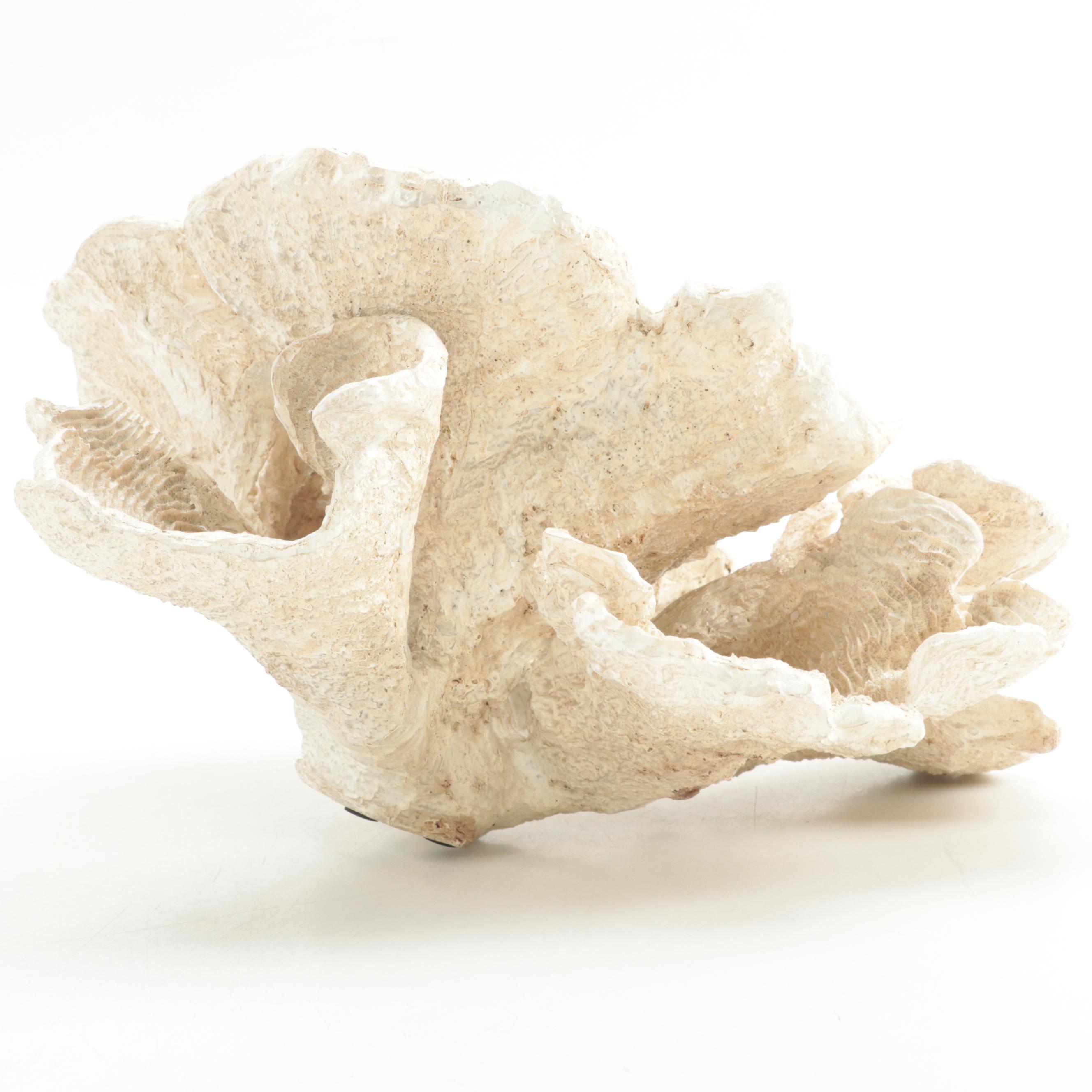 Cast Resin Coral Figure