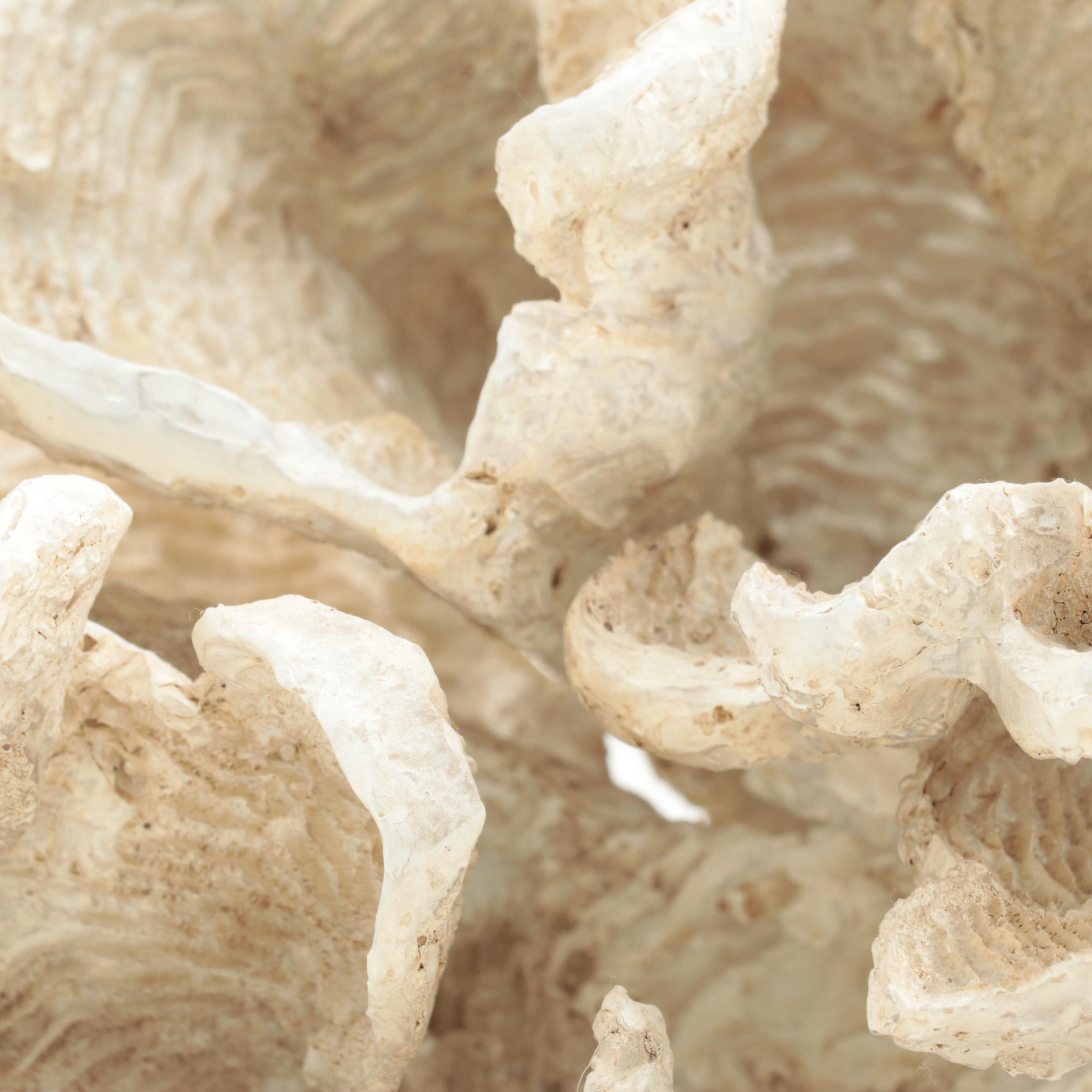 Cast Resin Coral Figure