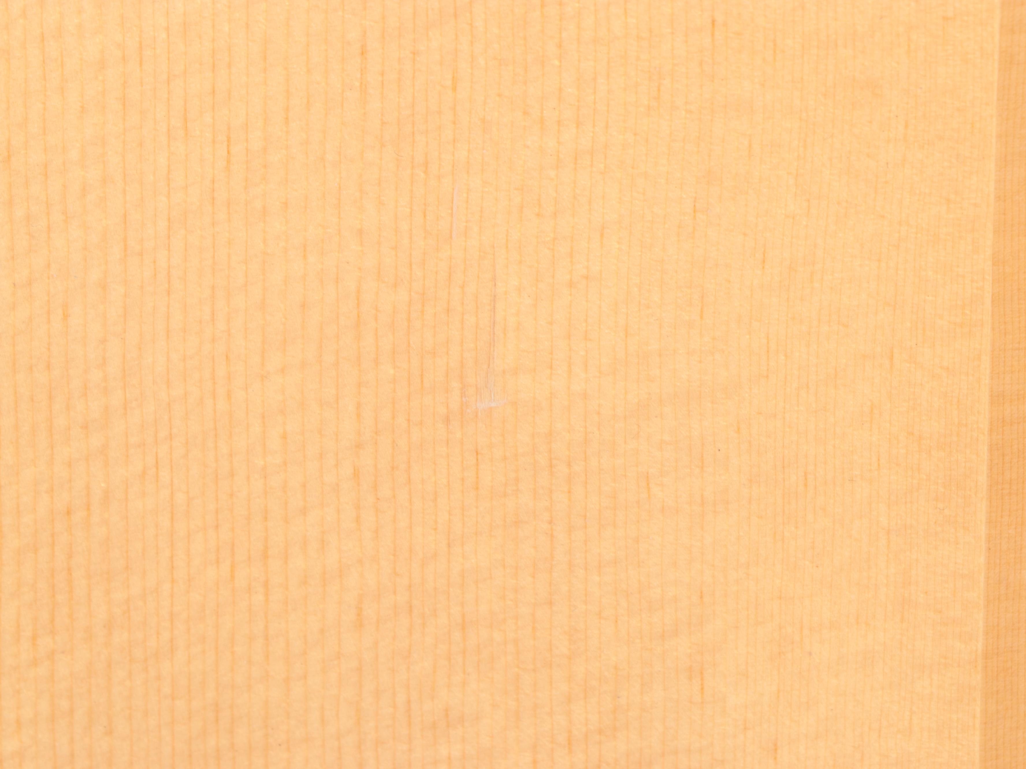 Giannini Brazilian Six-String Acoustic Guitar, 1973