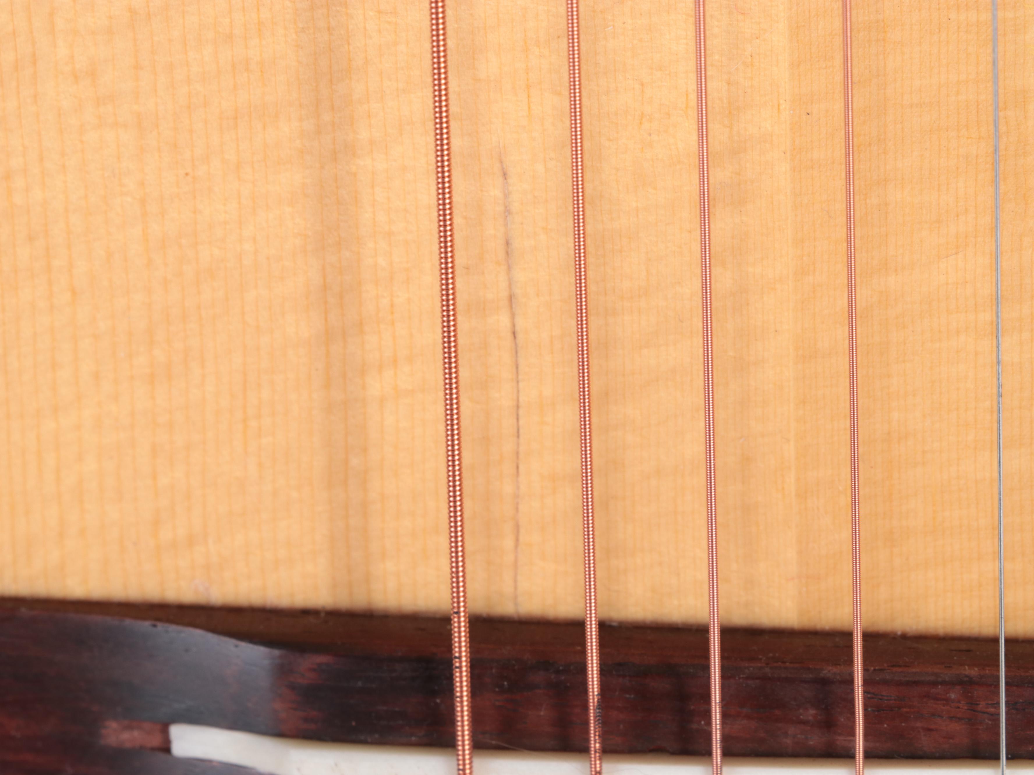 Giannini Brazilian Six-String Acoustic Guitar, 1973