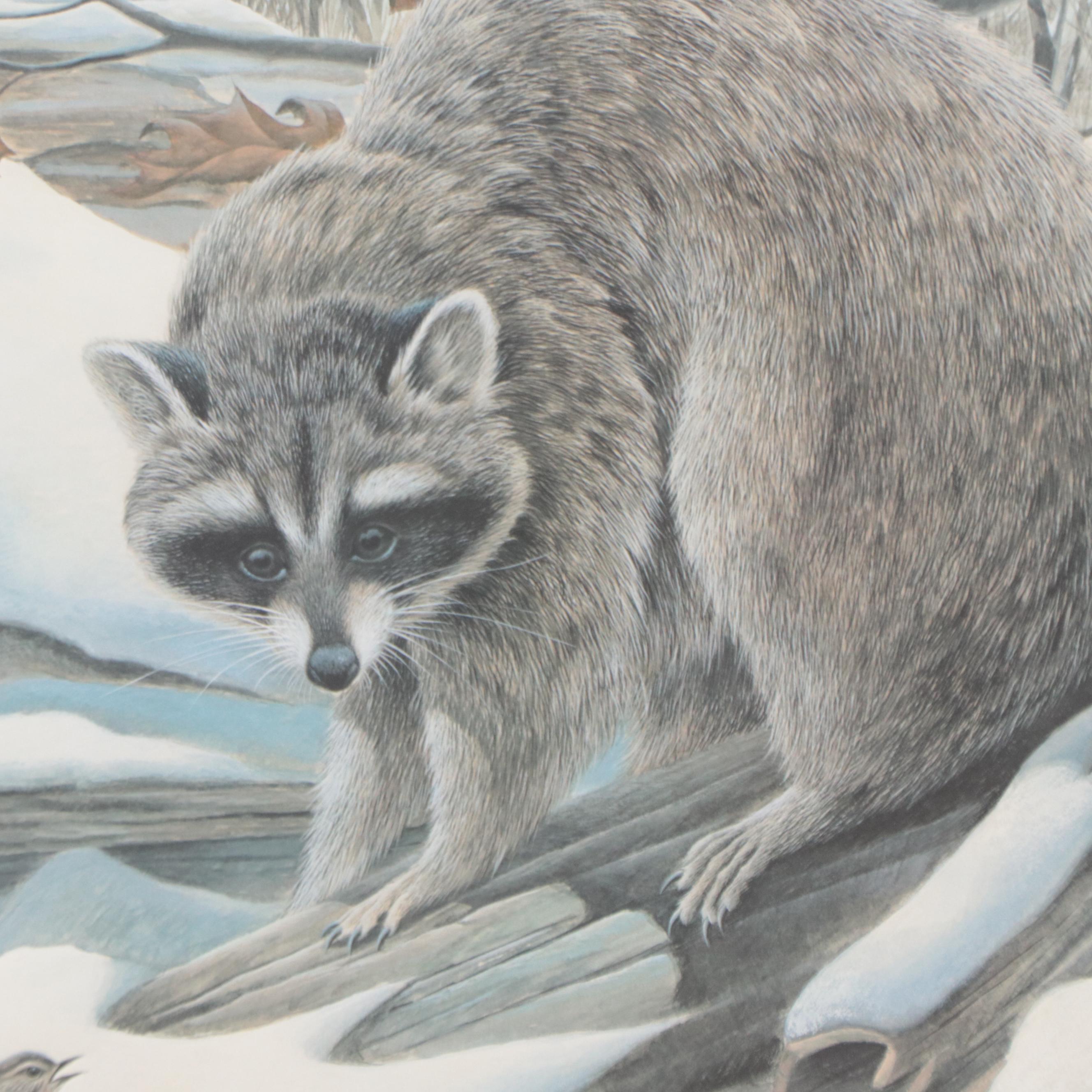 John Ruthven Offset Lithograph "Raccoon"