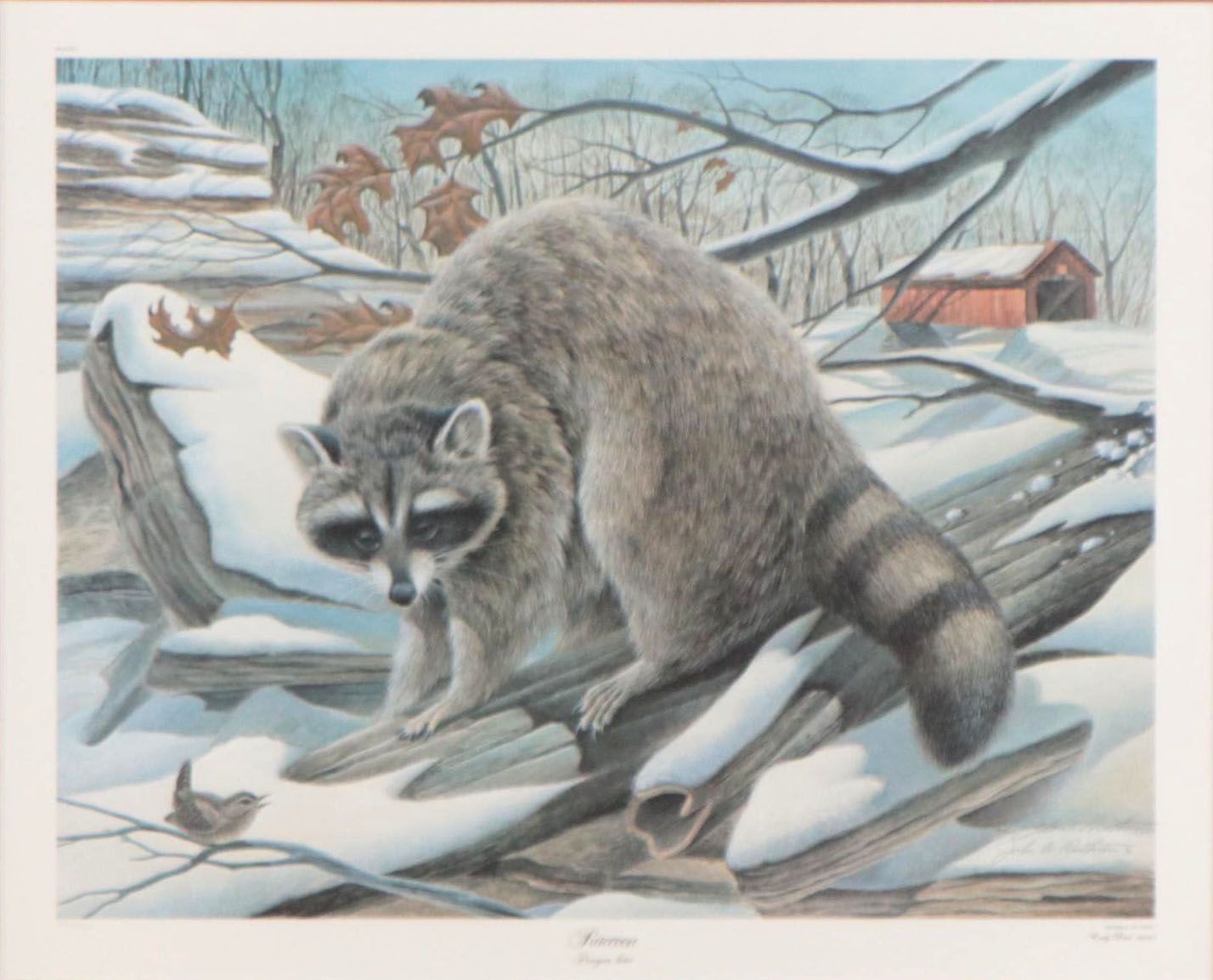 John Ruthven Offset Lithograph "Raccoon"