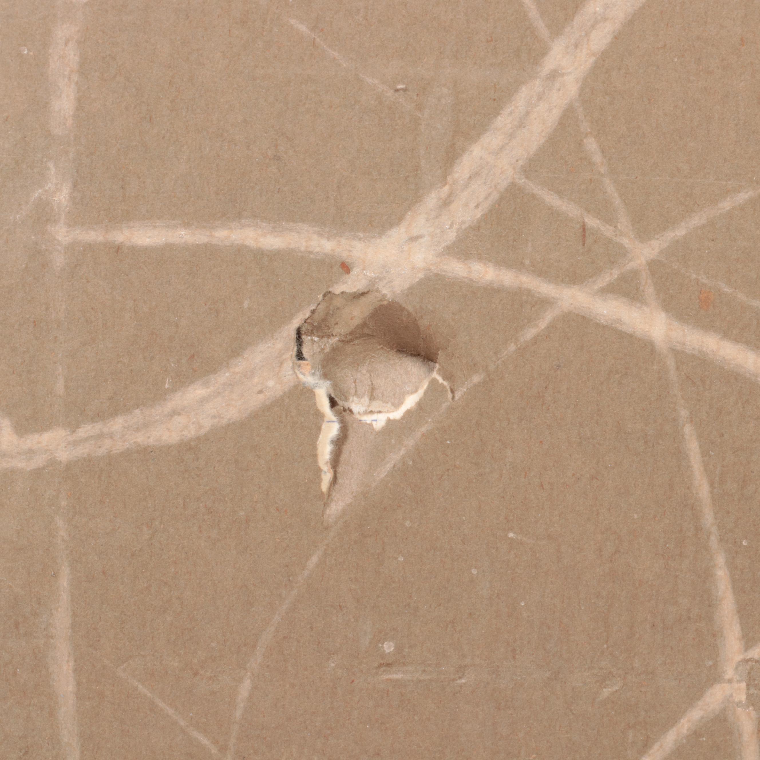 Pair of Japanese Woven Silk Panels with Floral Serigraph Print