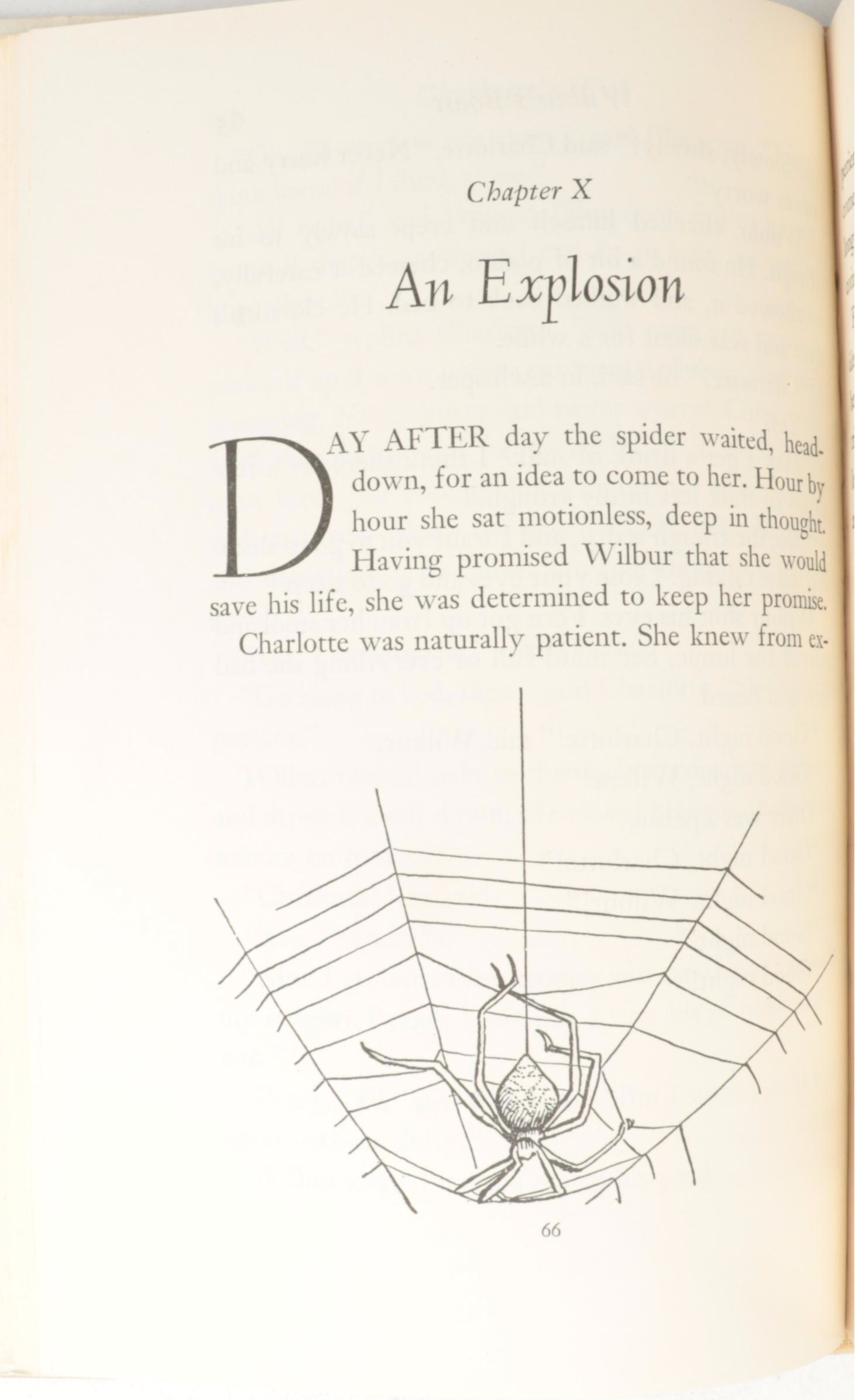 Garth Williams Illustrated "Charlotte's Web" and "Stuart Little" by E. B. White
