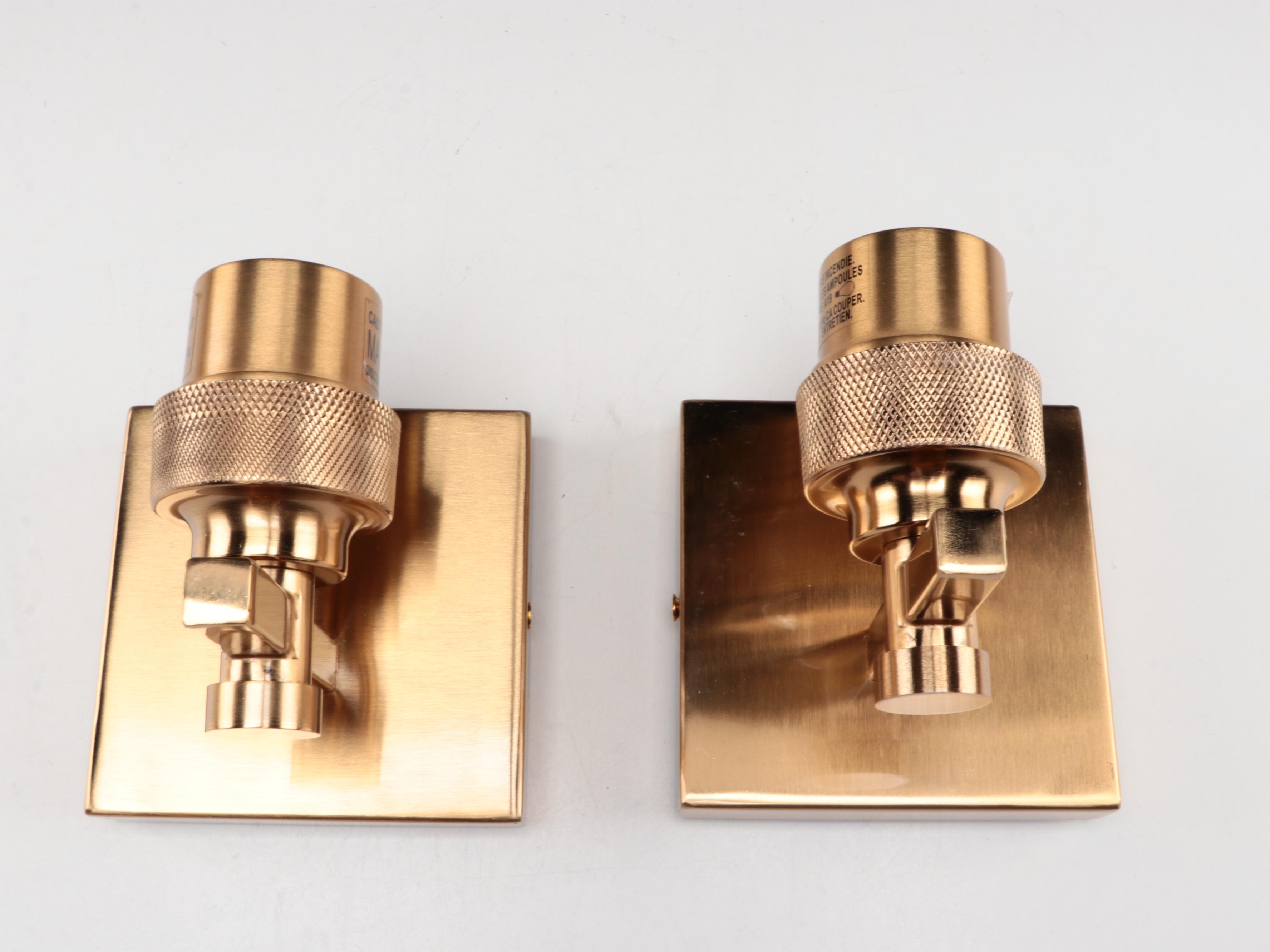 Pair of Brushed Gold Finish Vanity Sconces with Clear Seed Glass Shades