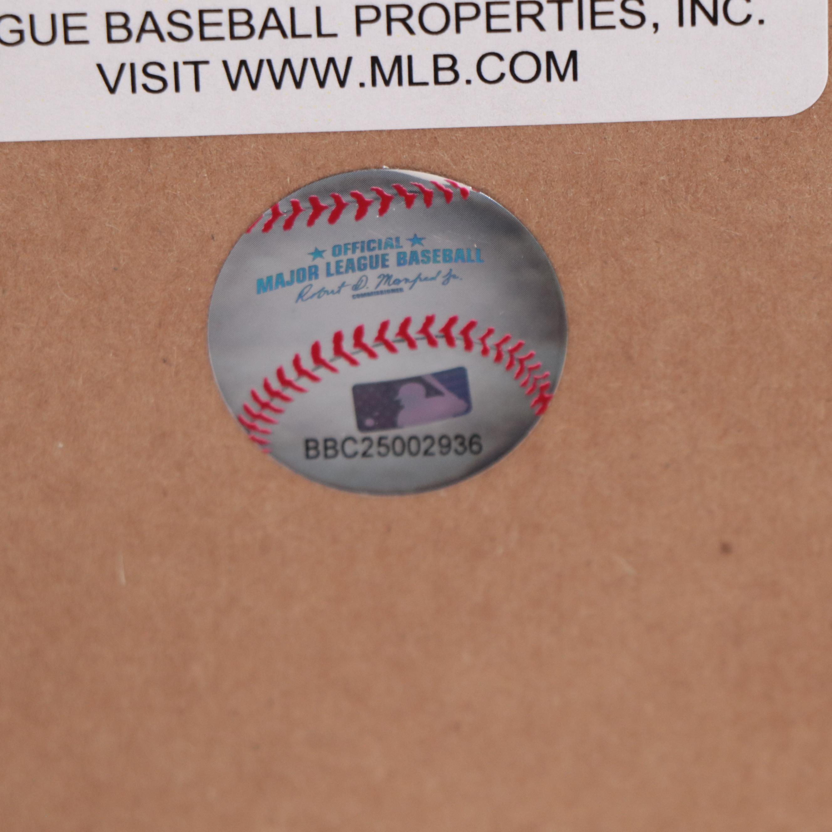 Chicago Cubs 2016 World Champions Giclée Print