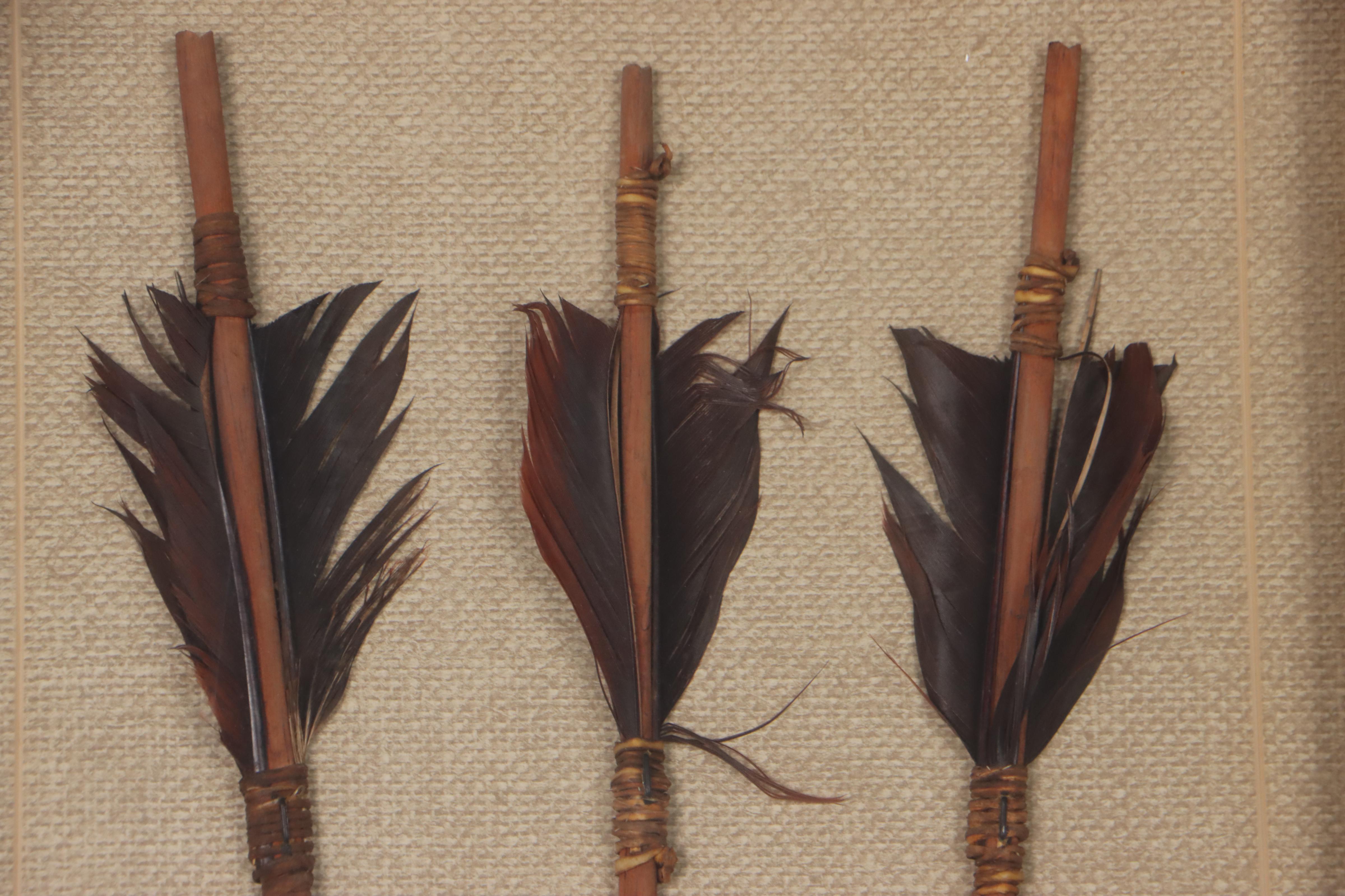 Native American Plains Style Metal-Tipped Reed Arrows in Frame