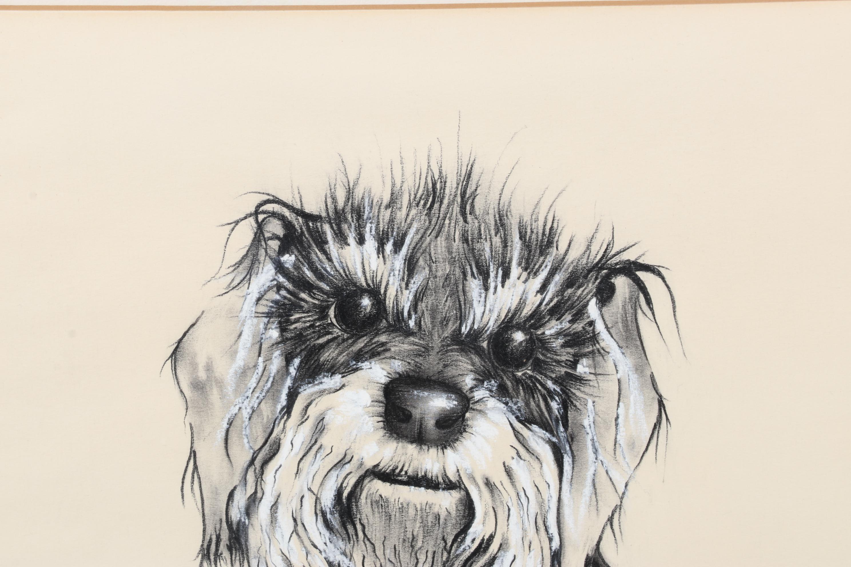 John Kinzel Portrait Charcoal and Conté Drawing of Schnauzer, Circa 1970