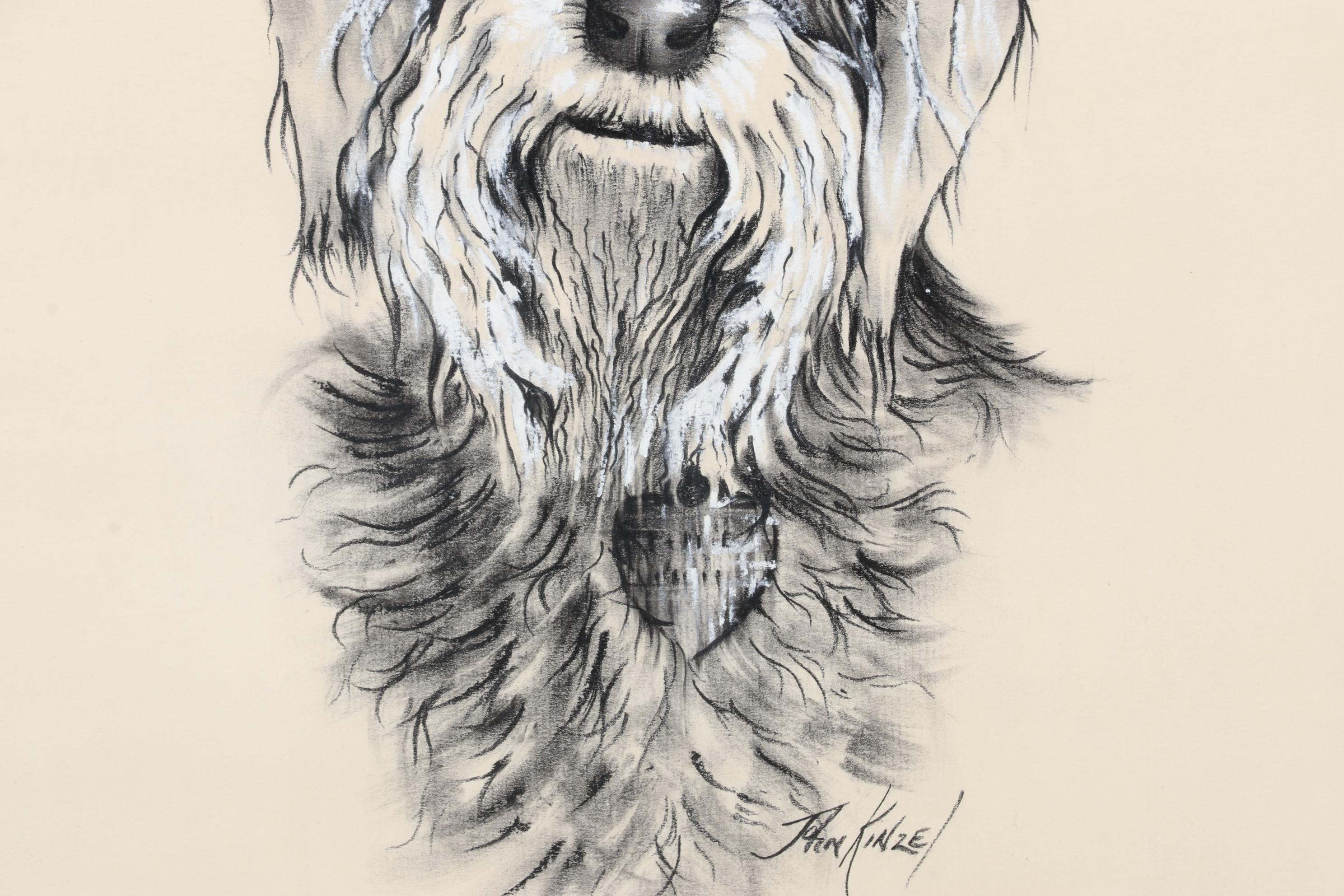 John Kinzel Portrait Charcoal and Conté Drawing of Schnauzer, Circa 1970