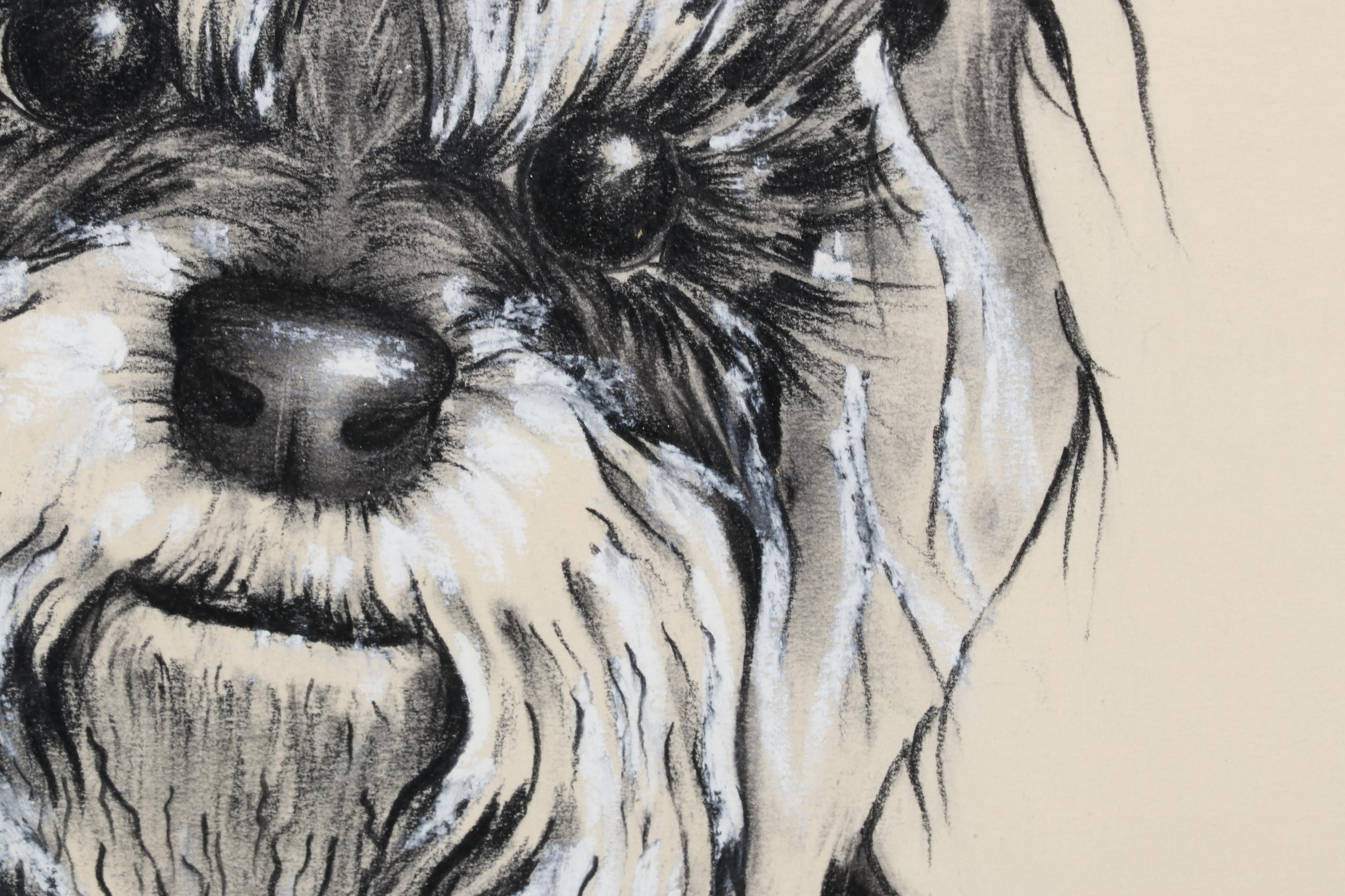 John Kinzel Portrait Charcoal and Conté Drawing of Schnauzer, Circa 1970