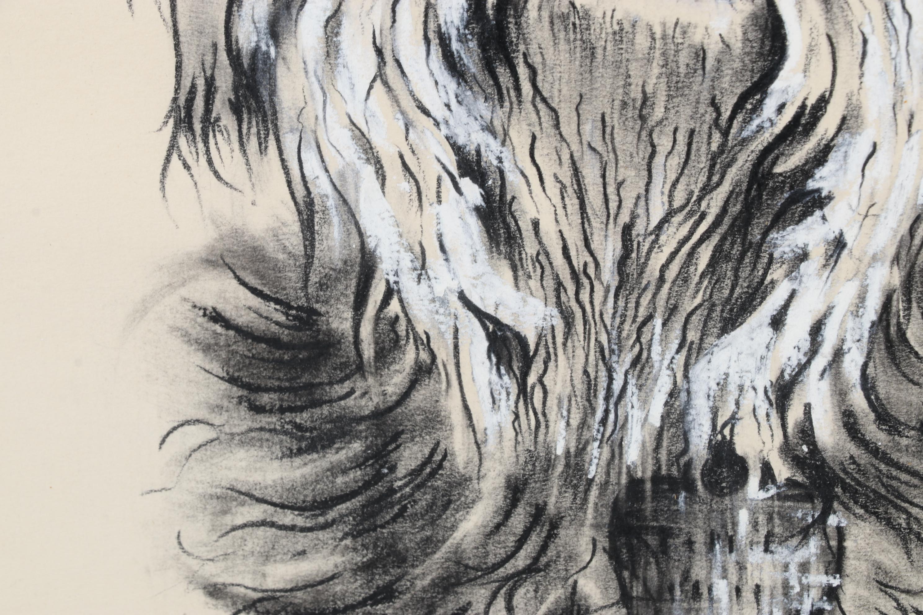 John Kinzel Portrait Charcoal and Conté Drawing of Schnauzer, Circa 1970