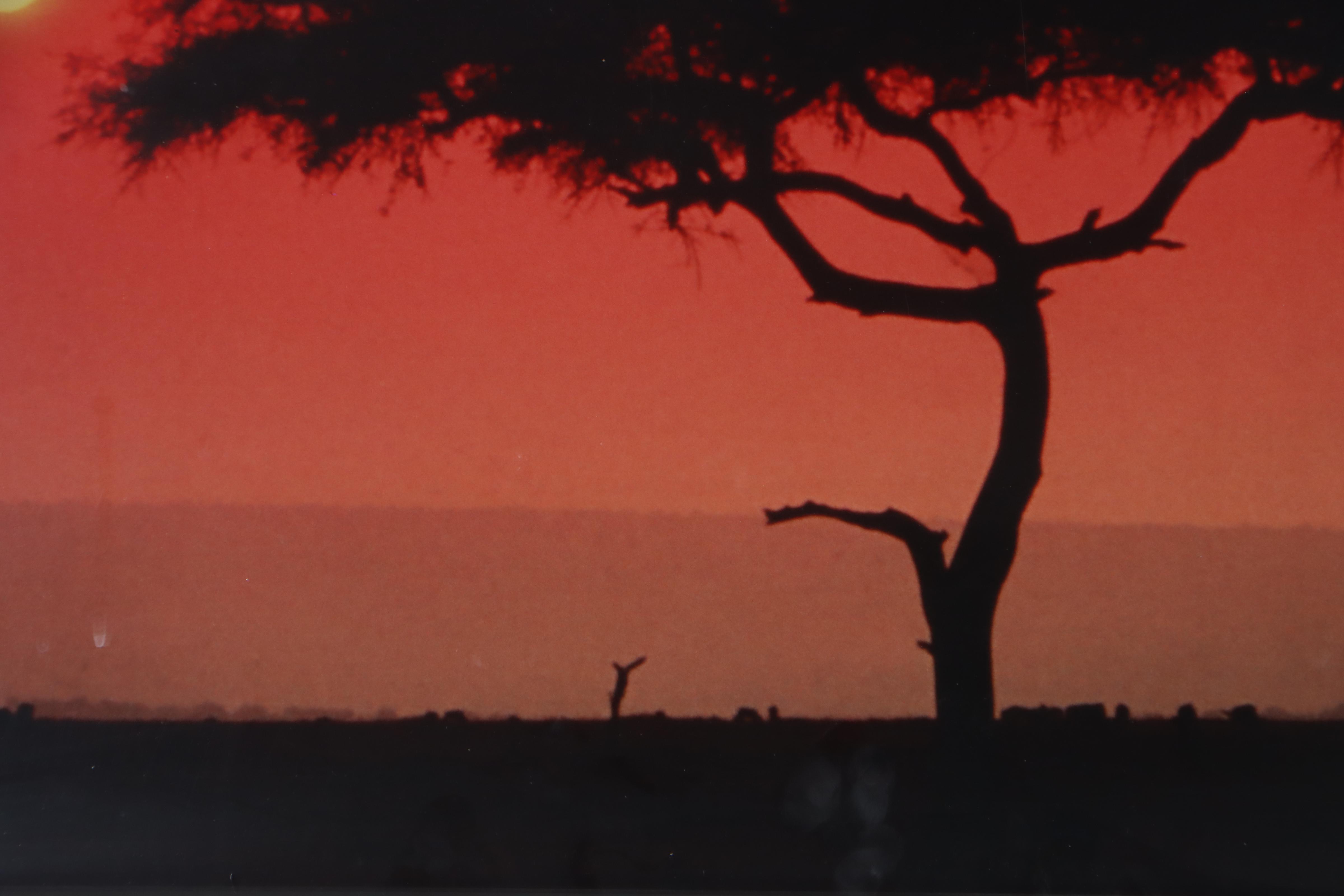 Chromogenic Color Photograph of African Desert Landscape