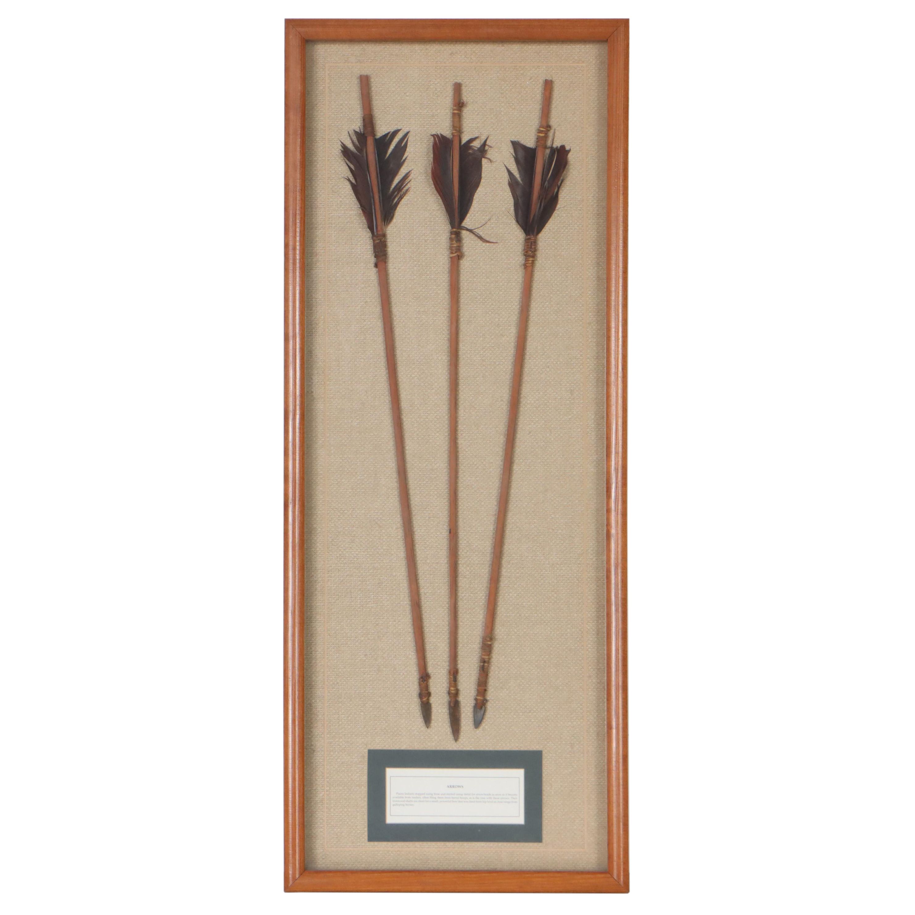 Native American Plains Style Metal-Tipped Reed Arrows in Frame