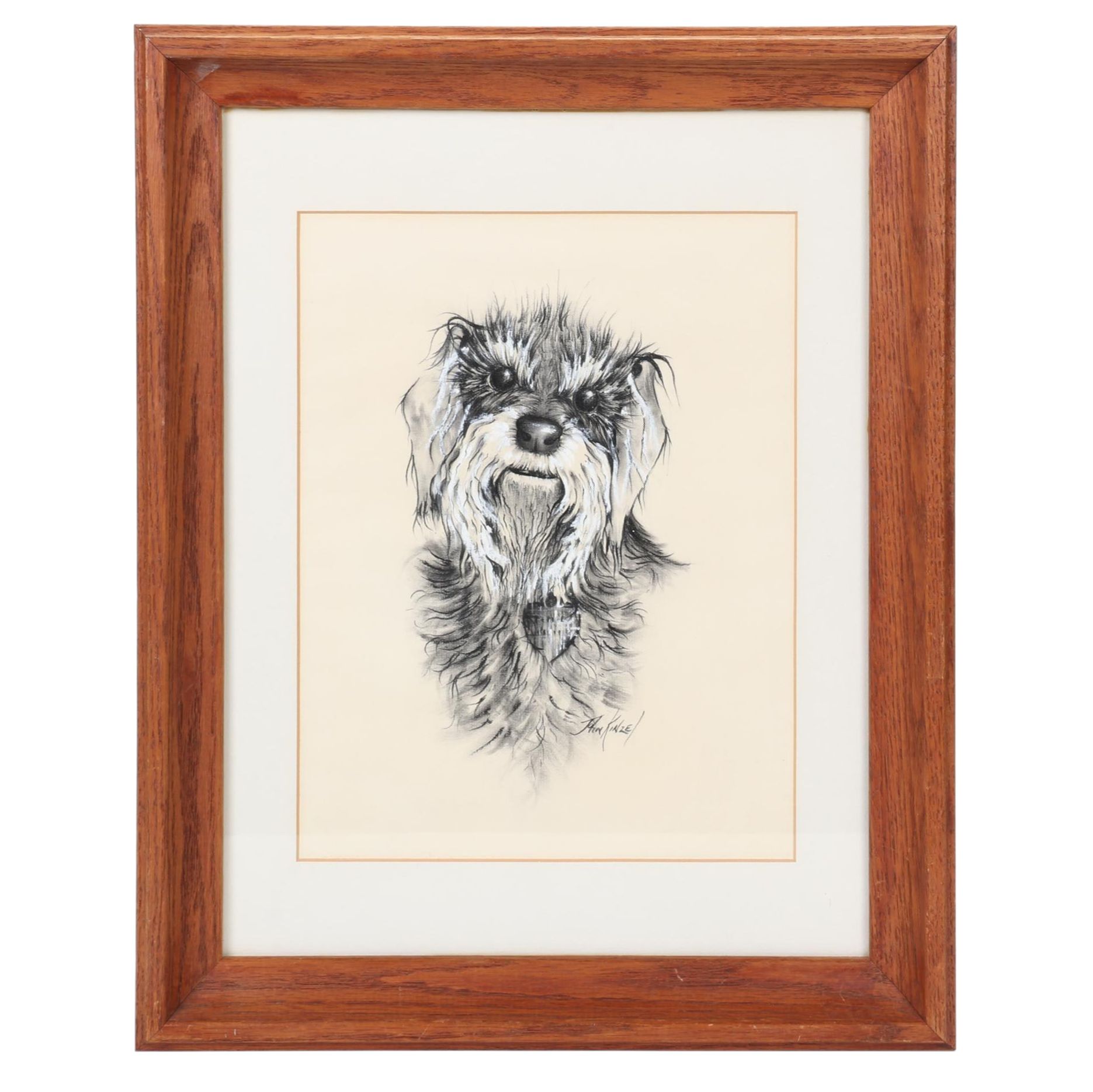 John Kinzel Portrait Charcoal and Conté Drawing of Schnauzer, Circa 1970