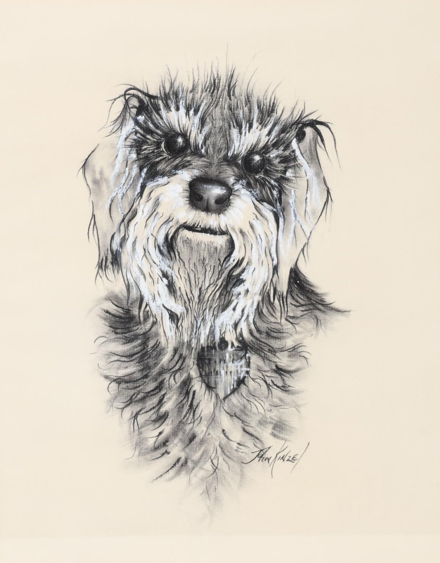 John Kinzel Portrait Charcoal and Conté Drawing of Schnauzer, Circa 1970