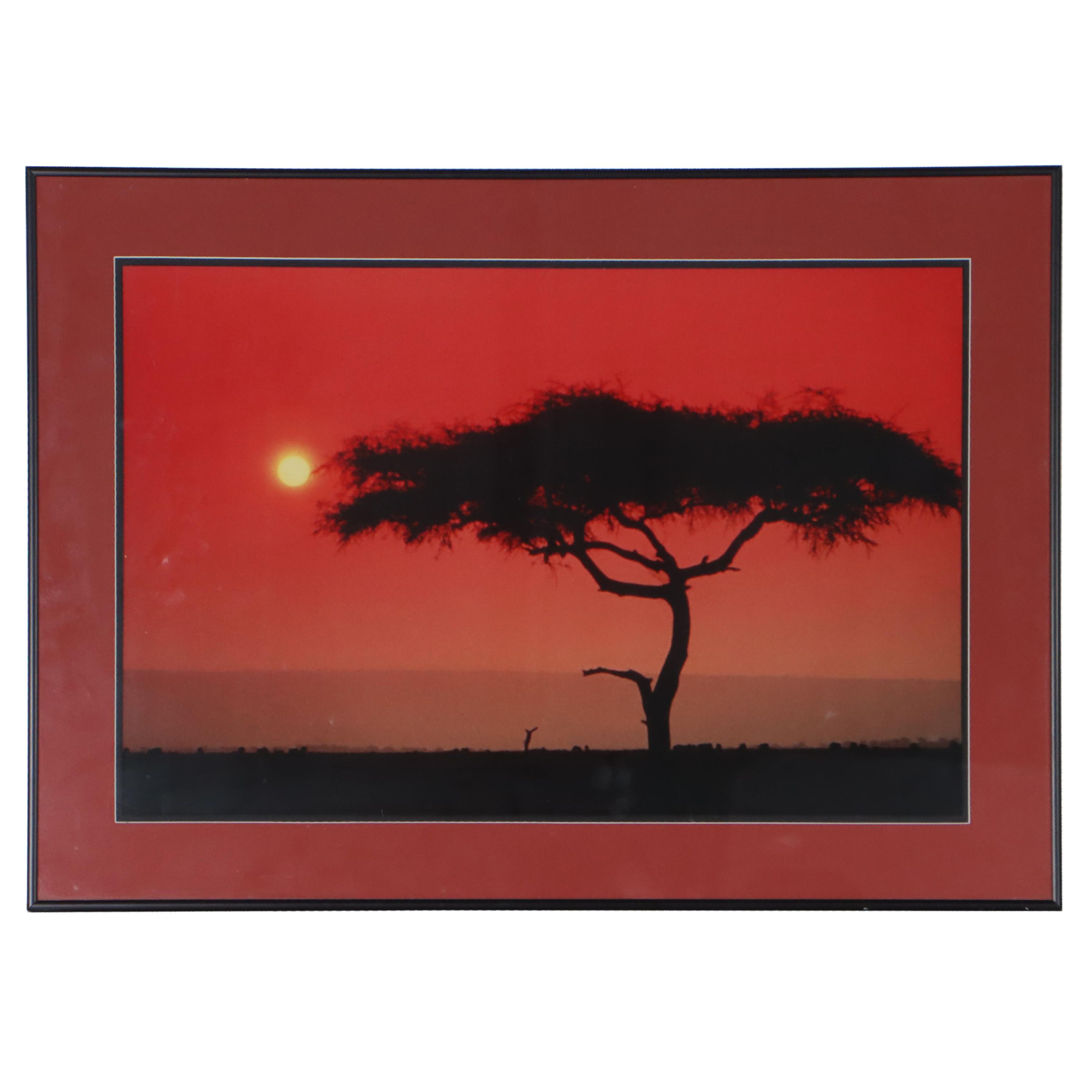 Chromogenic Color Photograph of African Desert Landscape