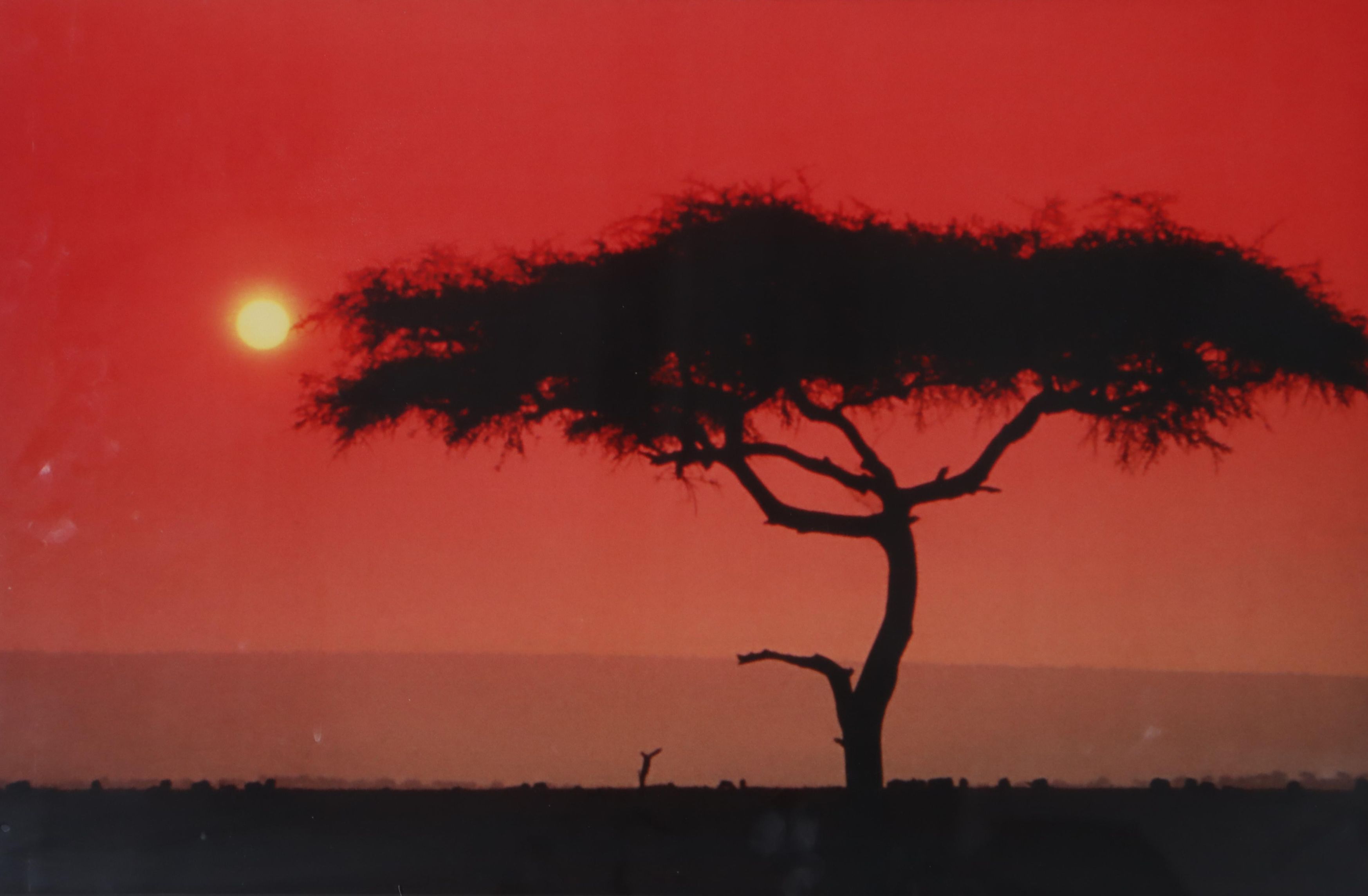 Chromogenic Color Photograph of African Desert Landscape