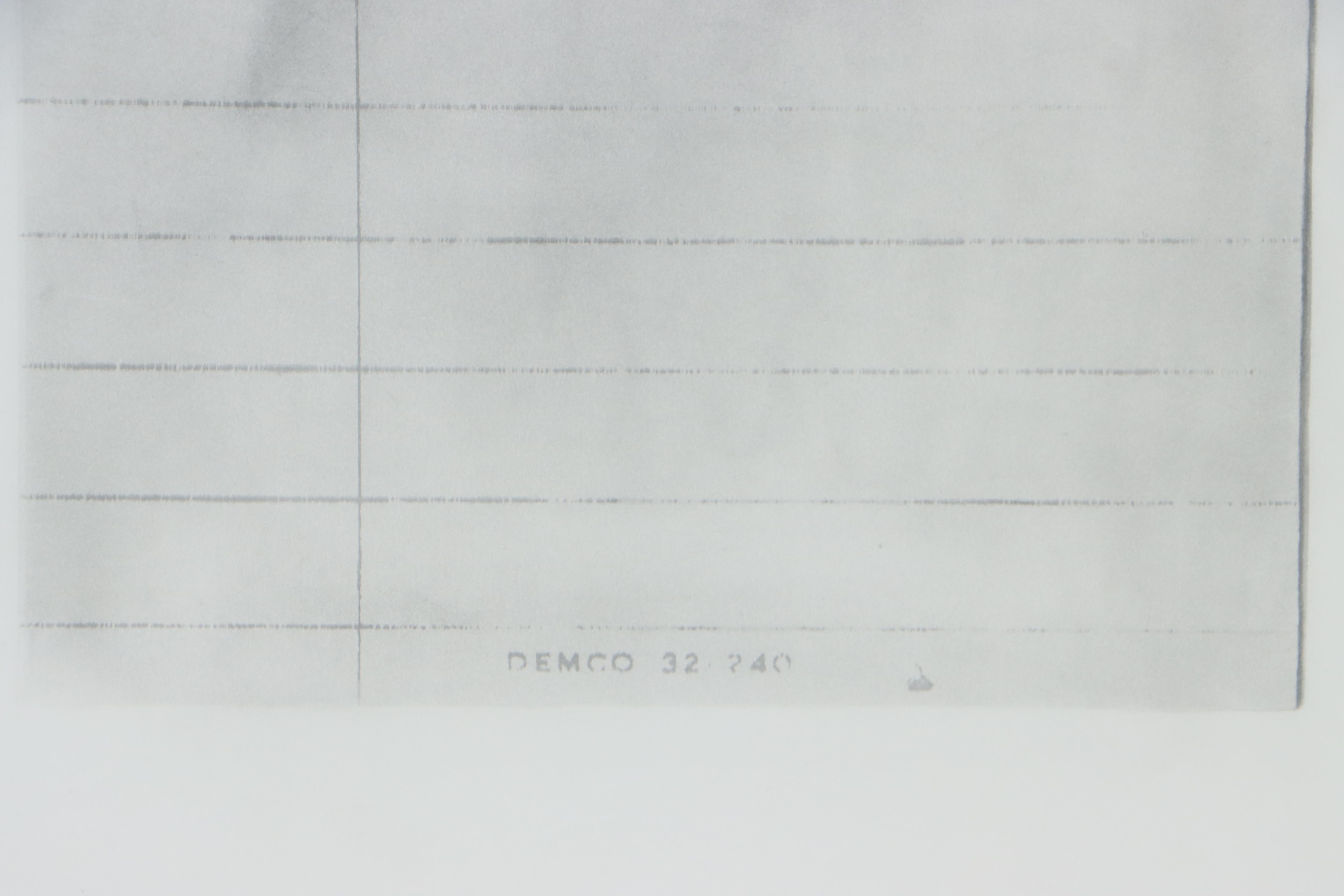 Cynthia Gregory Mixed Media Drawing "In Pursuit of Relevance," 2011