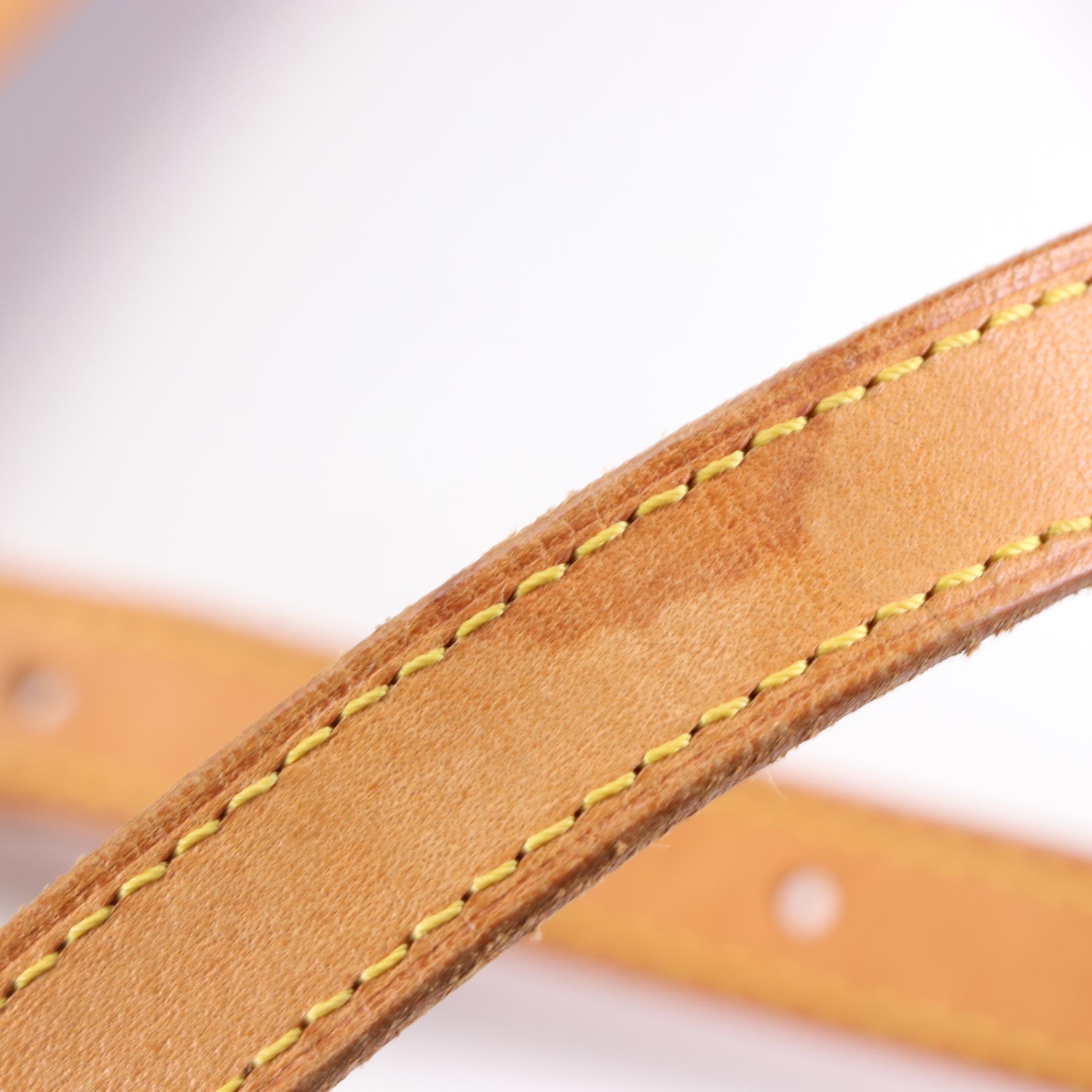 Louis Vuitton Bucket Bag in Monogram Canvas and Vachetta Leather