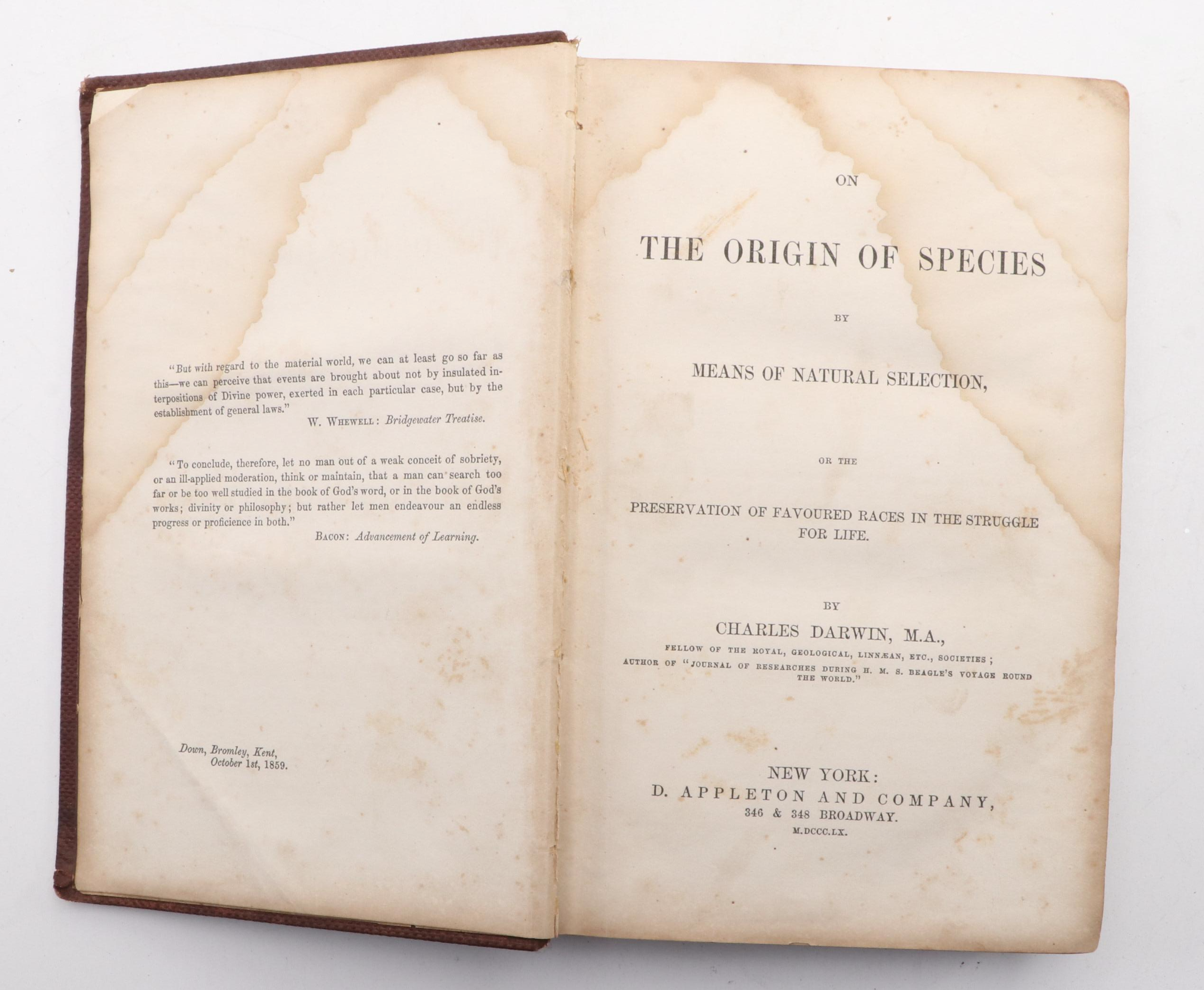 First American Edition "On the Origin of Species" by Charles Darwin, 1860