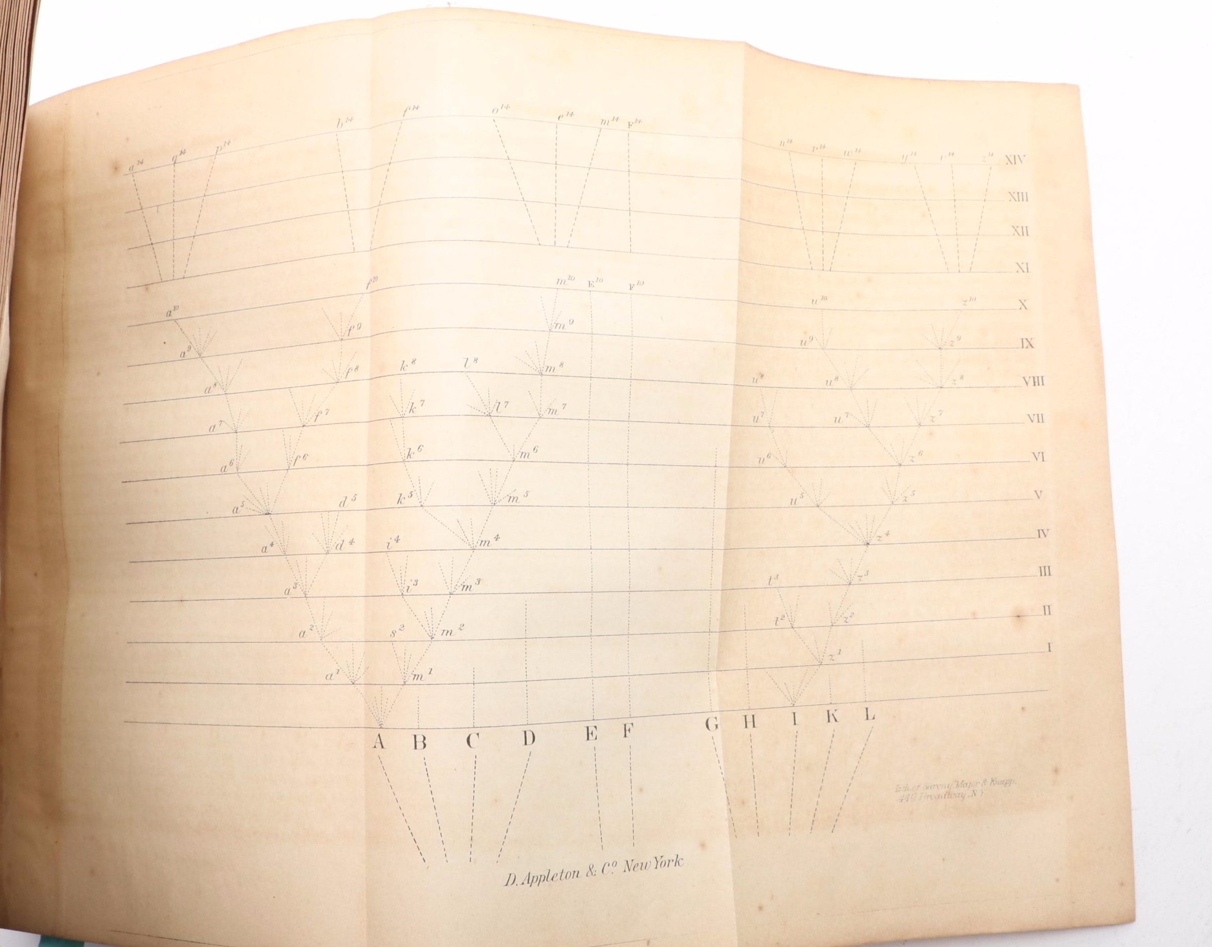 First American Edition "On the Origin of Species" by Charles Darwin, 1860