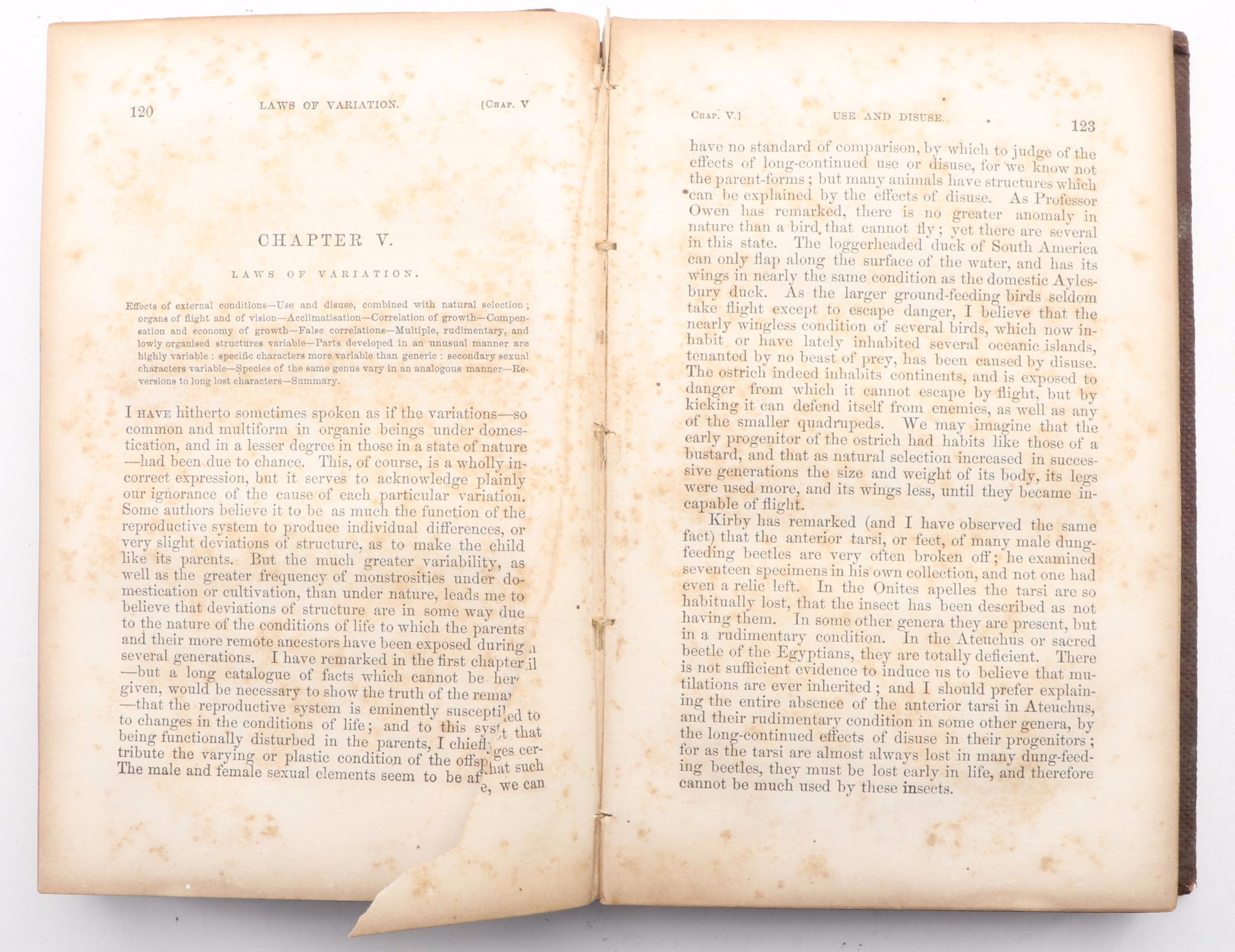 First American Edition "On the Origin of Species" by Charles Darwin, 1860