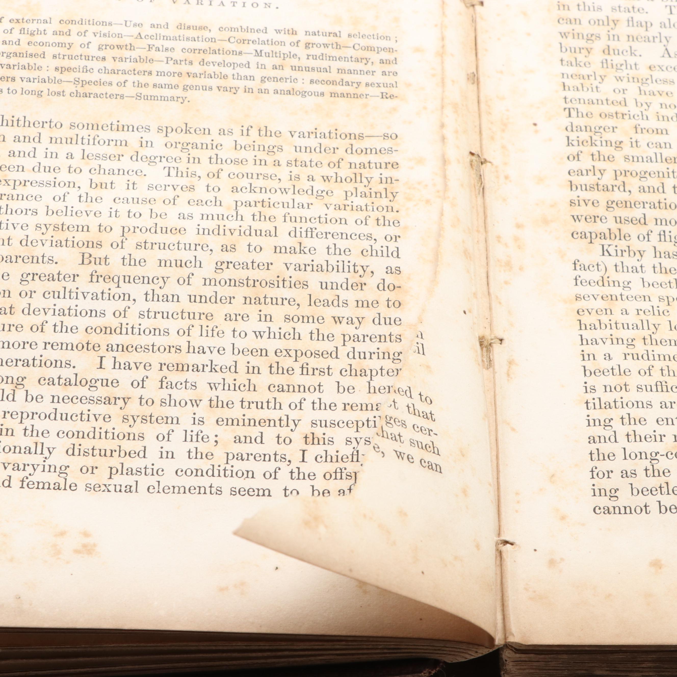 First American Edition "On the Origin of Species" by Charles Darwin, 1860