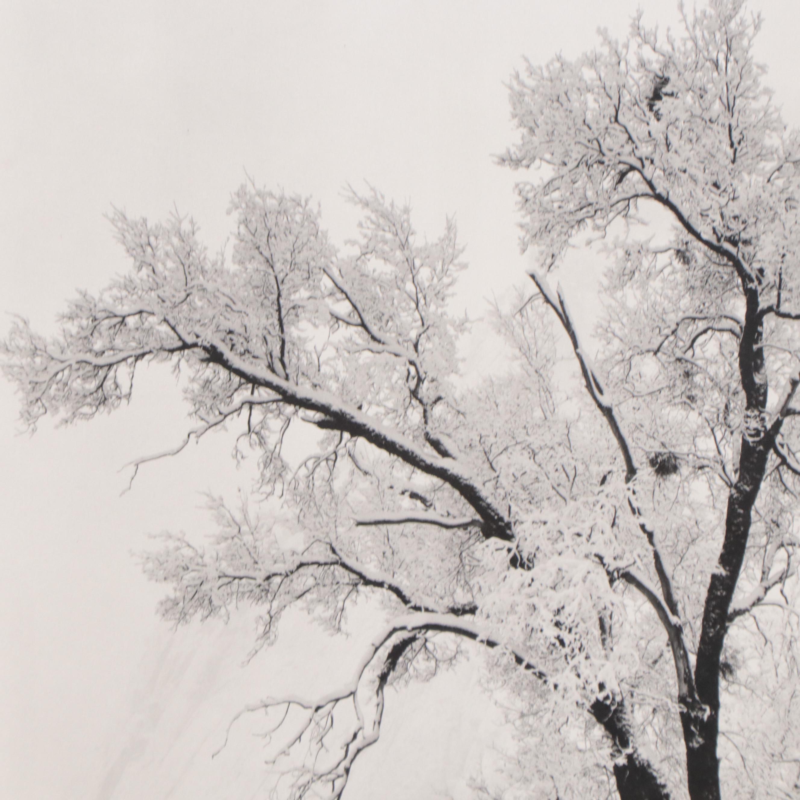 Offset Lithograph After Ansel Adams "Oak Tree, Snowstorm, Yosemite Valley"
