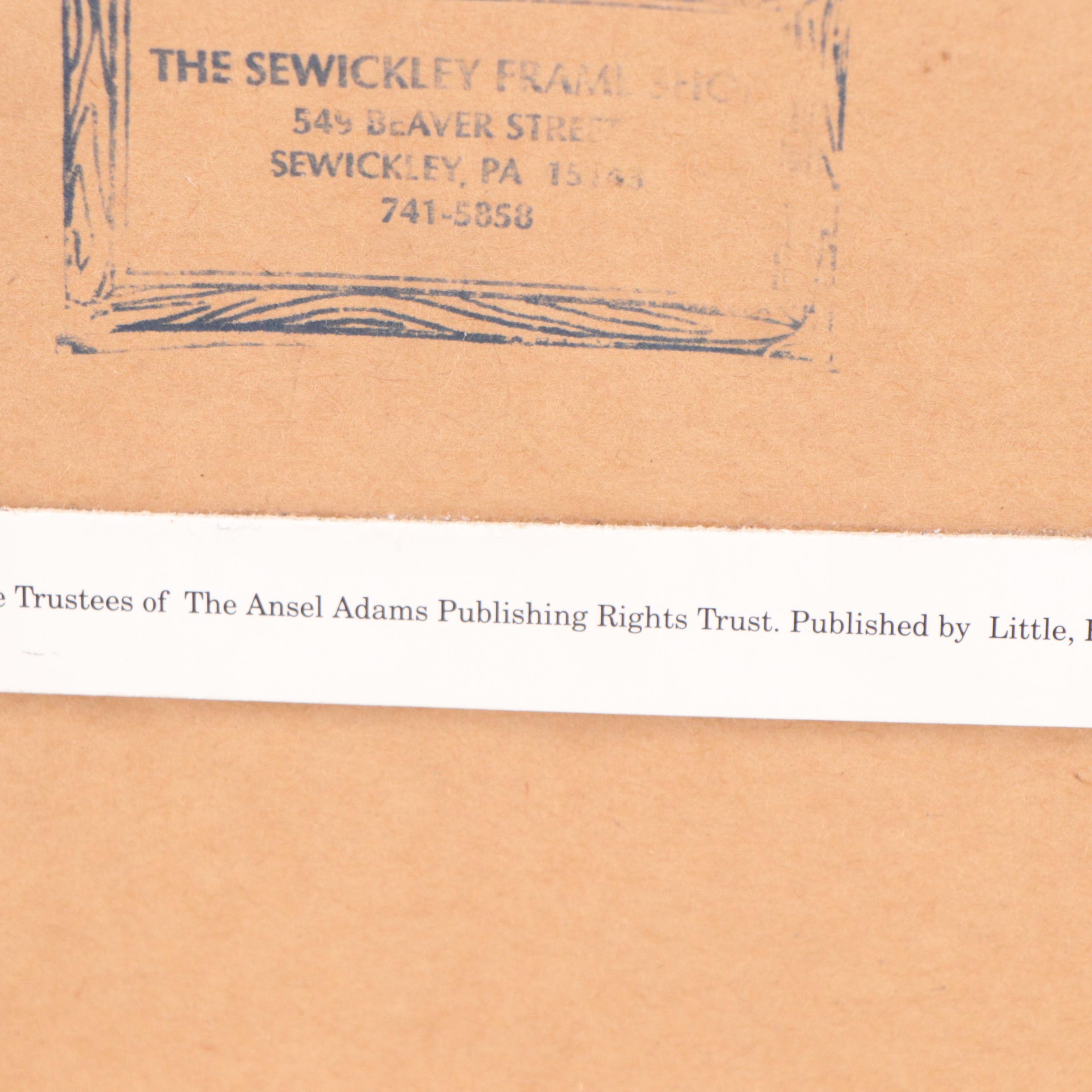 Offset Lithograph After Ansel Adams "Oak Tree, Snowstorm, Yosemite Valley"