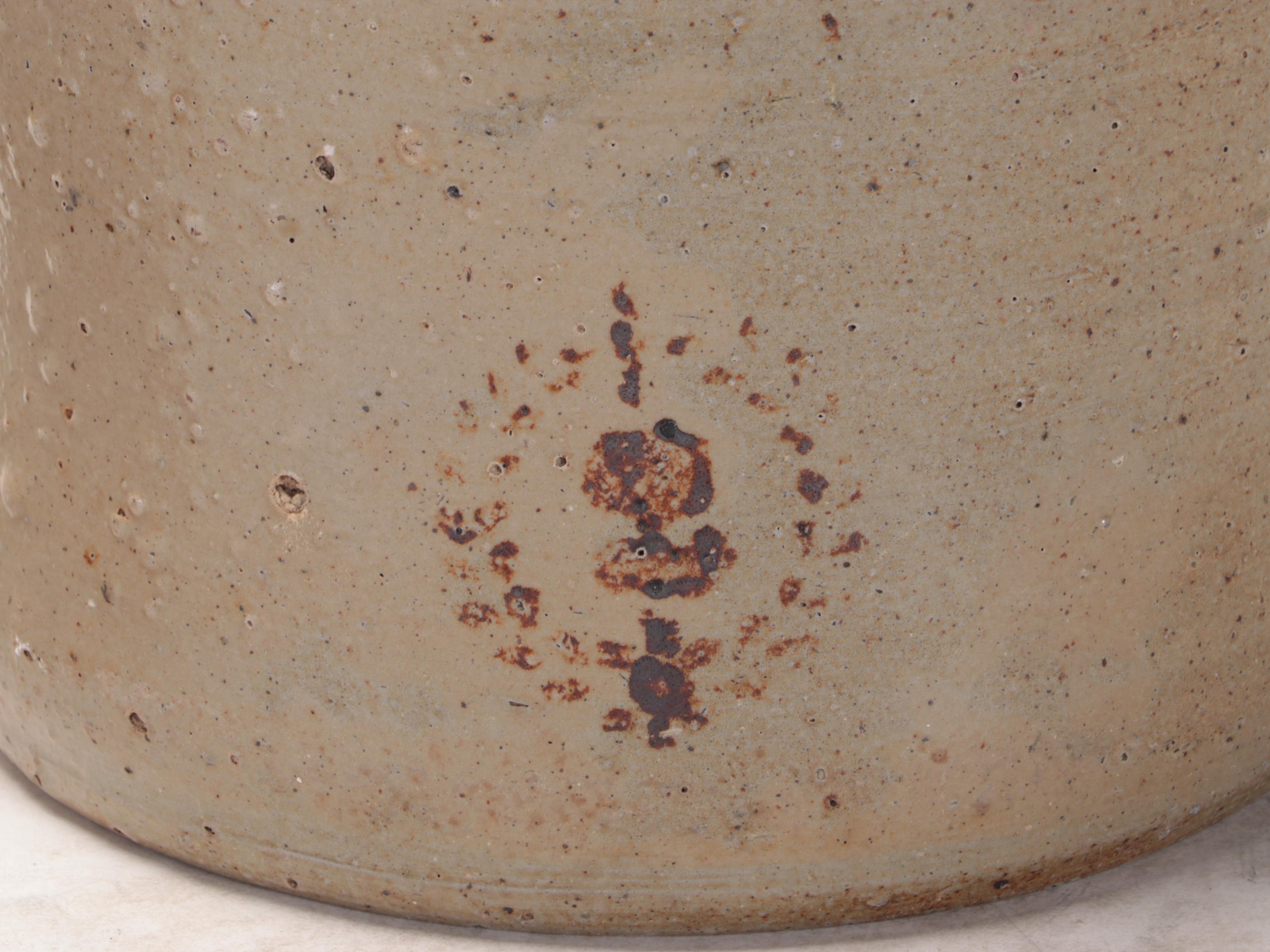 Wm. Radam Microbe Killer Jug with Two-Gallon Salt Glazed Stoneware Crock