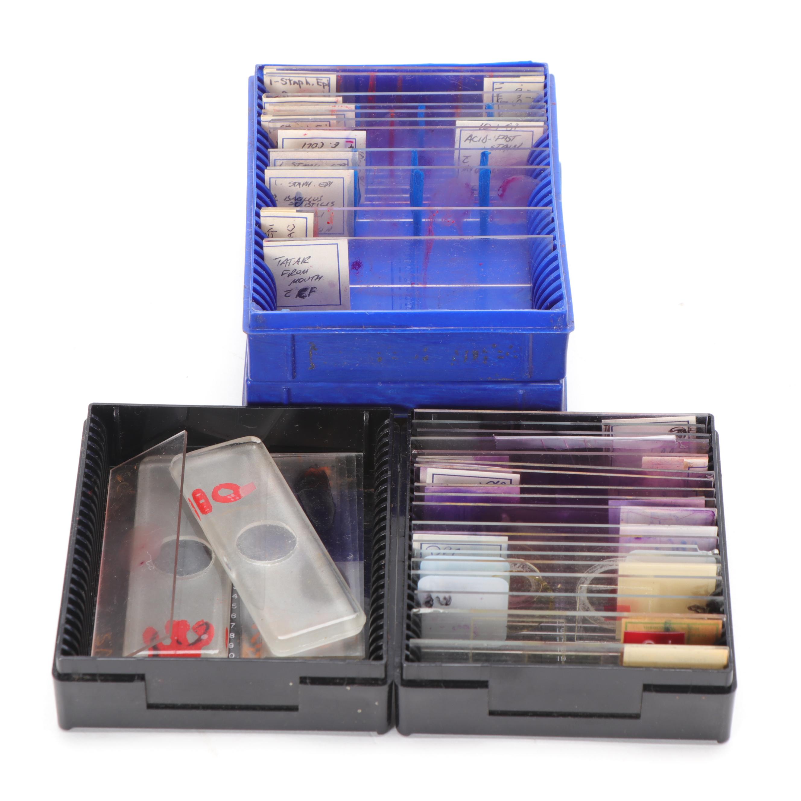 Bausch and Lomb Microscope with Specimen Slides and Wooden Crate