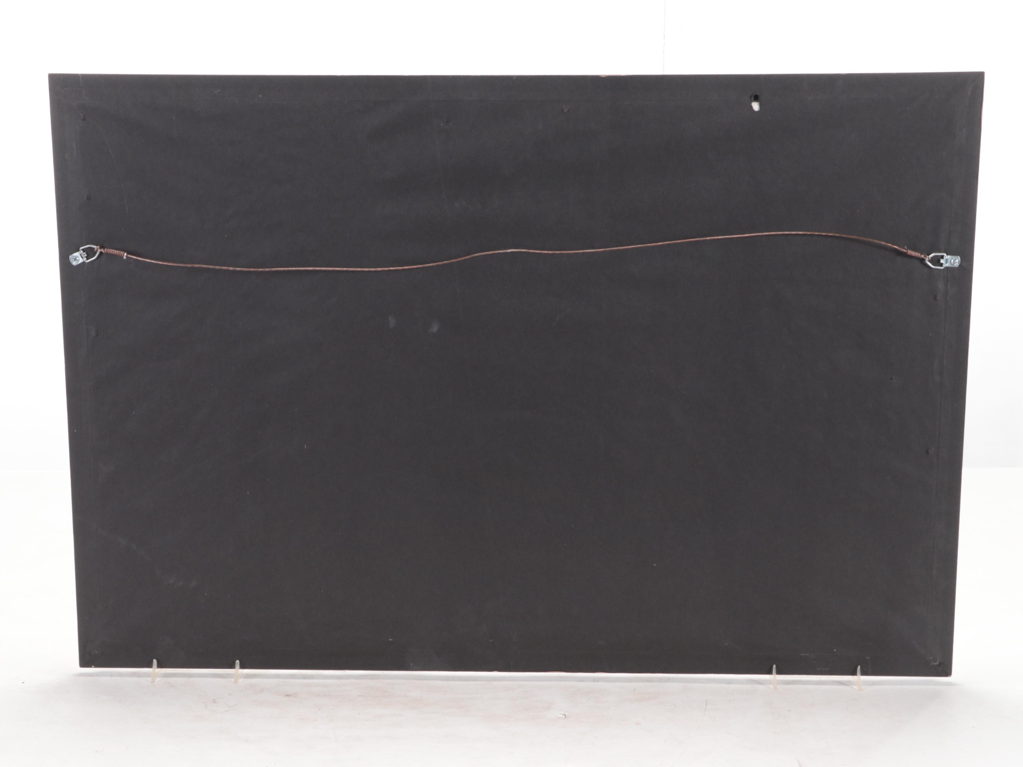 Dale Earnhardt Jr. Signed Framed Mac Tools Racing Color Poster