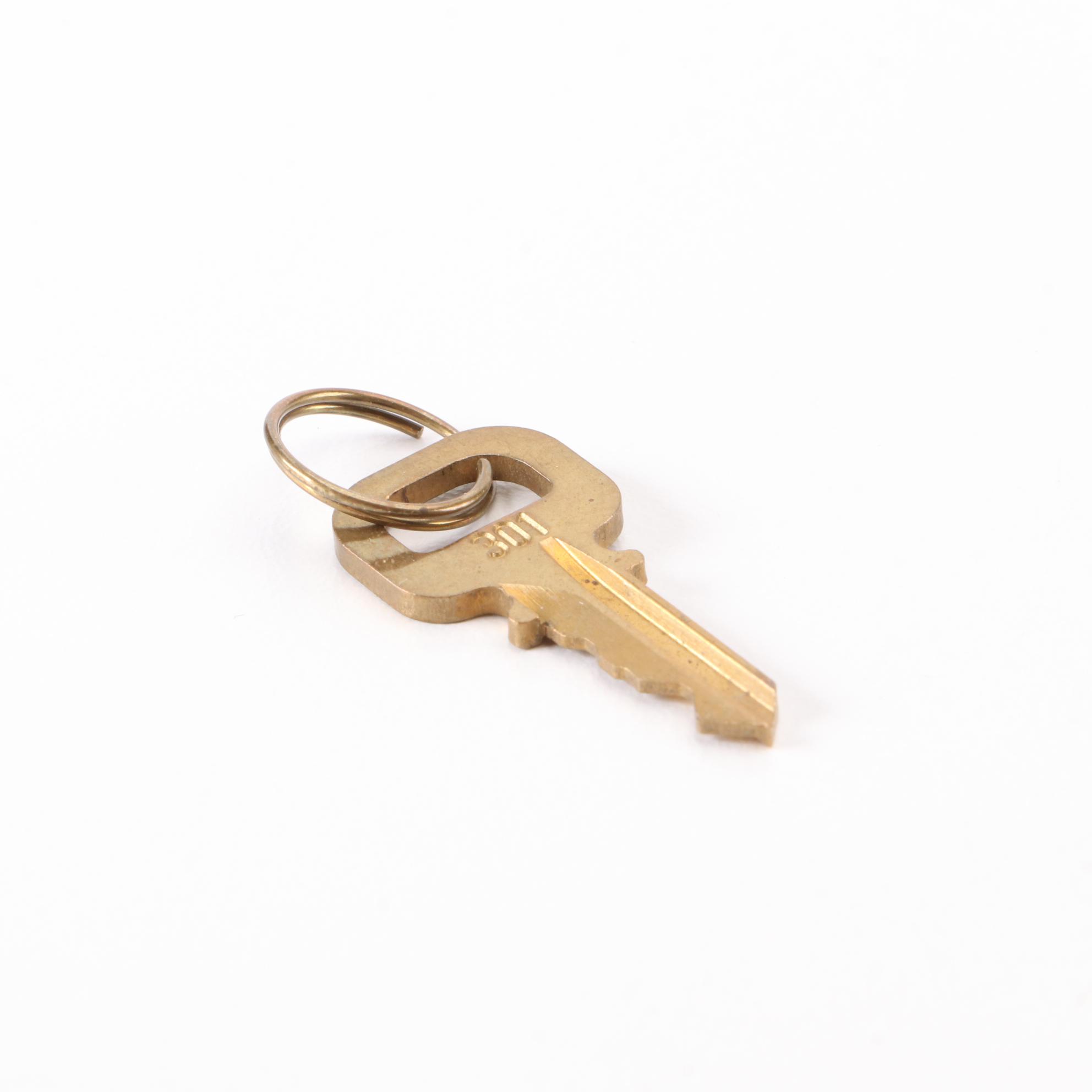 Louis Vuitton Brass Padlock and Key Set