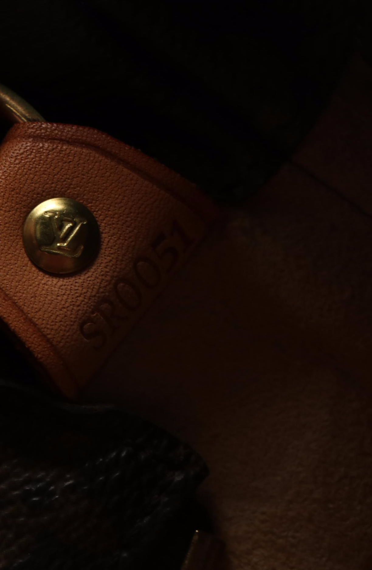 Louis Vuitton Luco Tote Bag in Monogram Canvas and Vachetta Leather