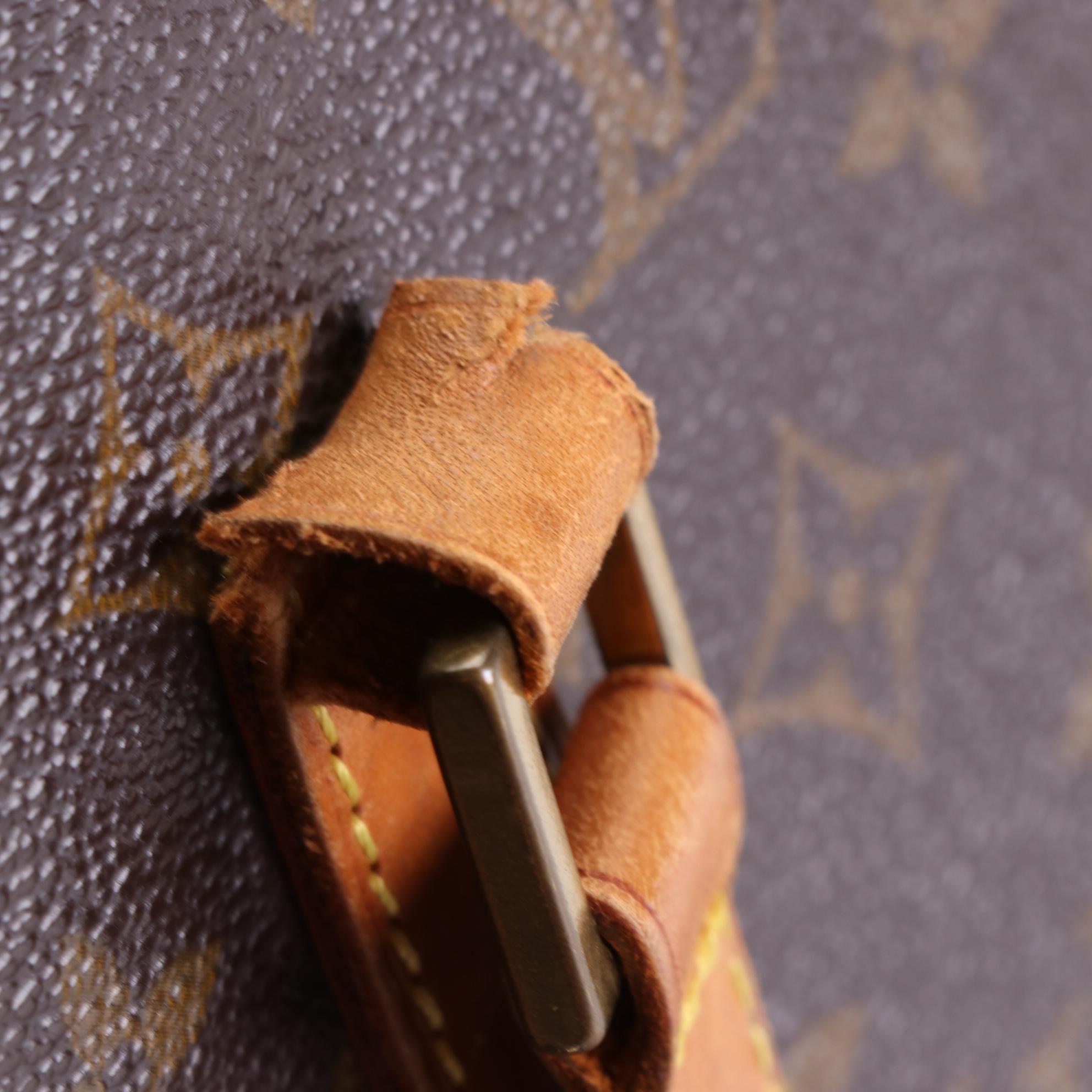 Louis Vuitton Luco Tote Bag in Monogram Canvas and Vachetta Leather