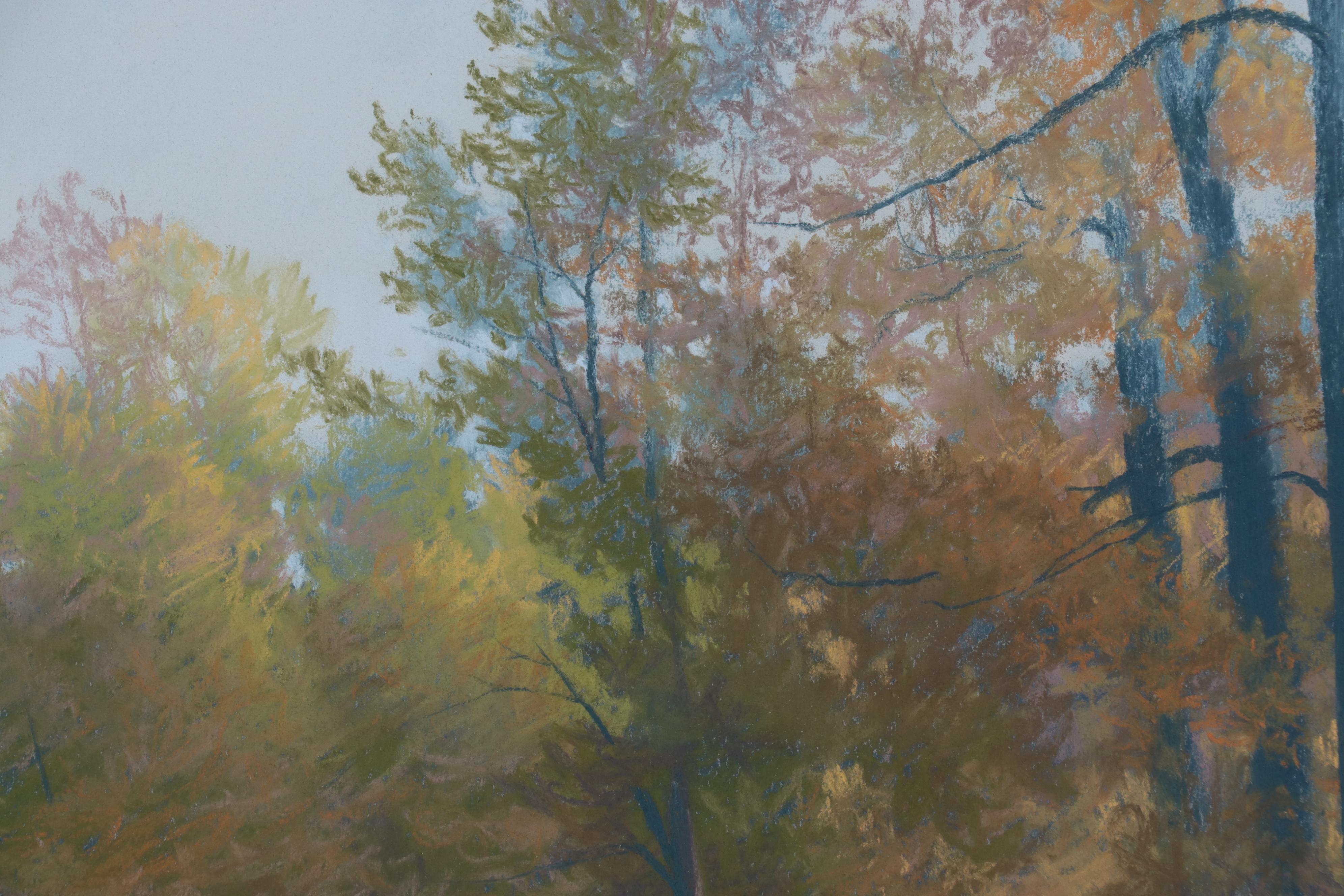 Jerry Inman Landscape Pastel Drawing of Forest, 1987