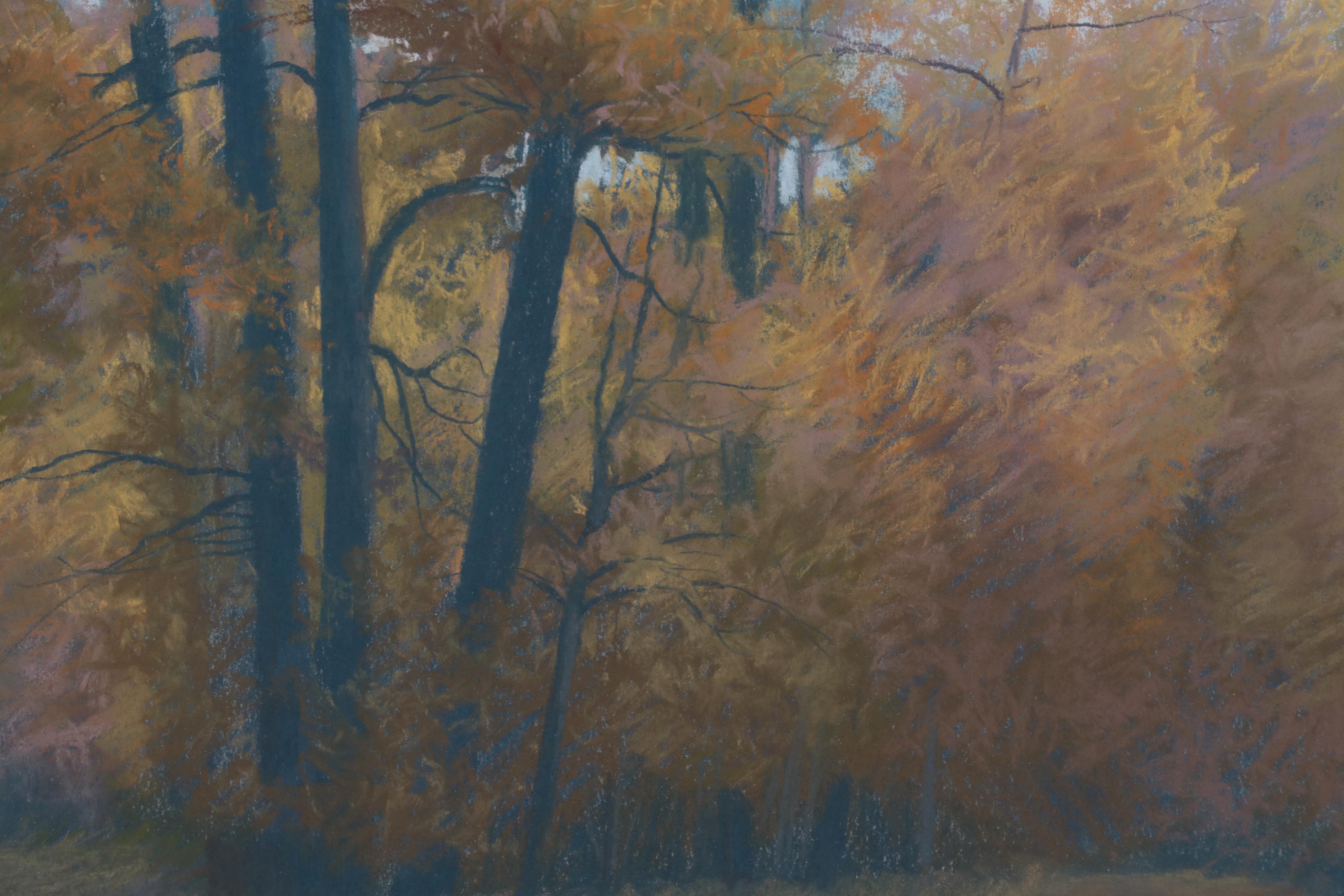 Jerry Inman Landscape Pastel Drawing of Forest, 1987