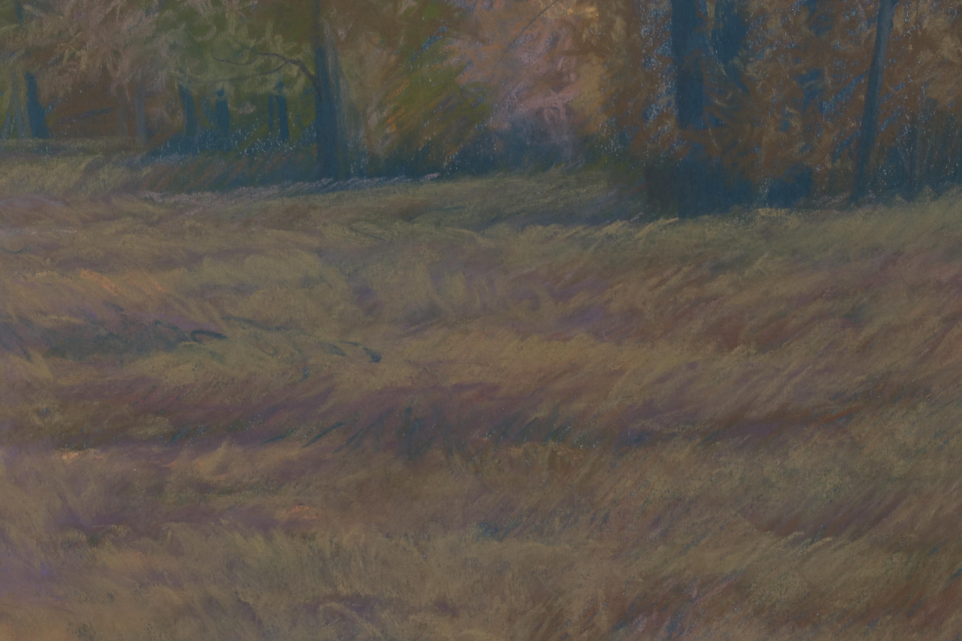 Jerry Inman Landscape Pastel Drawing of Forest, 1987