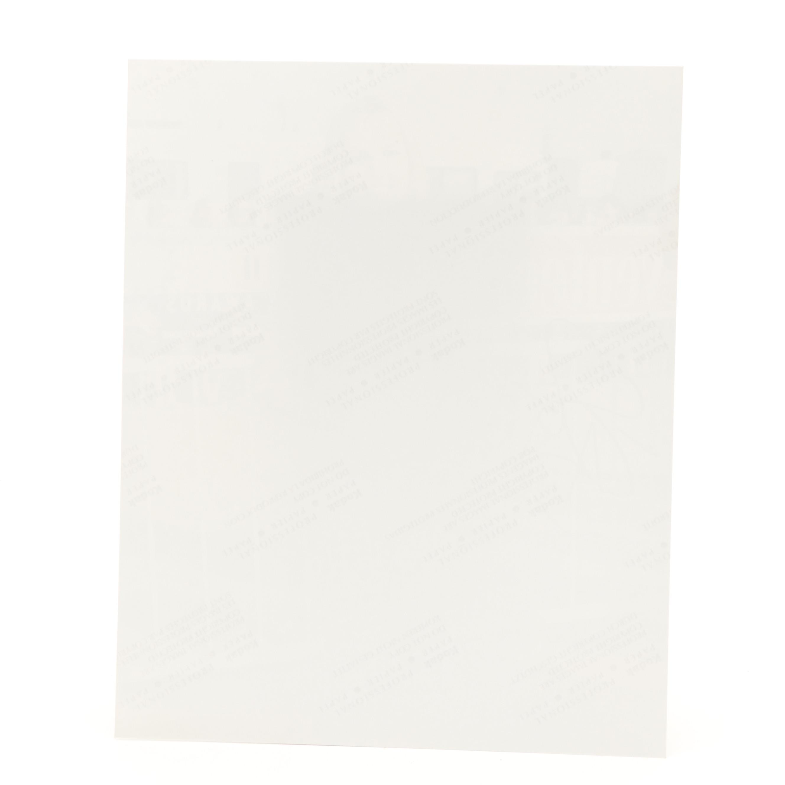 Britney Spears Signed Giclée Print