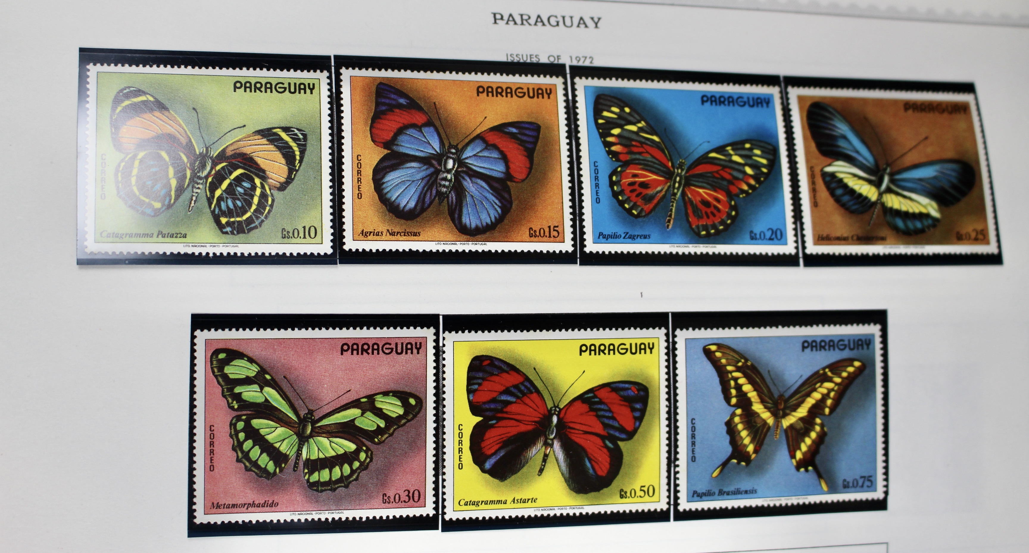 Extensive World wide Stamp Collection In Minkus Supreme Album