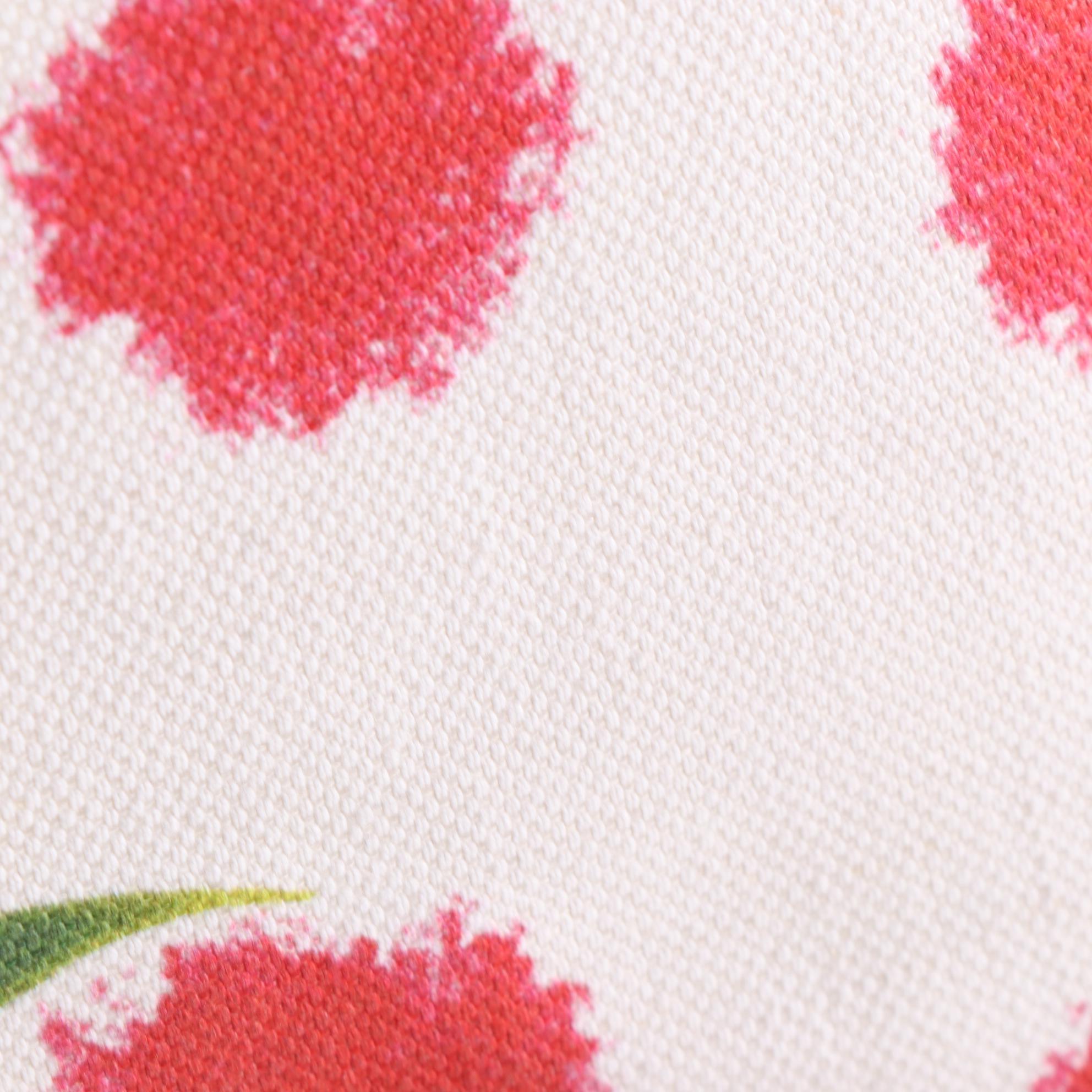 Dooney & Bourke Medium Cindy Tote FG491 in Lily Print Canvas with Leather Trim