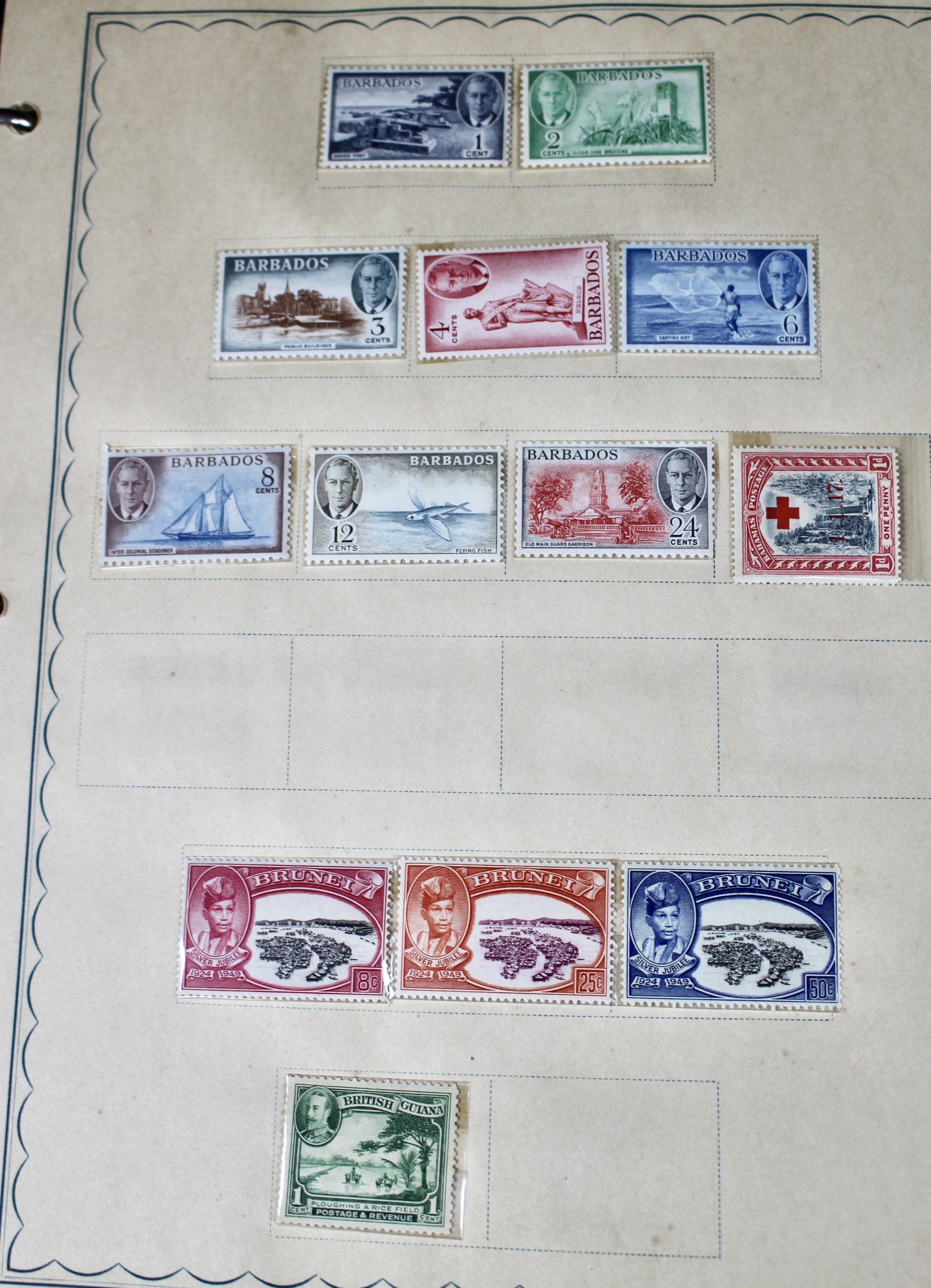 Mint Foreign Stamp Collection