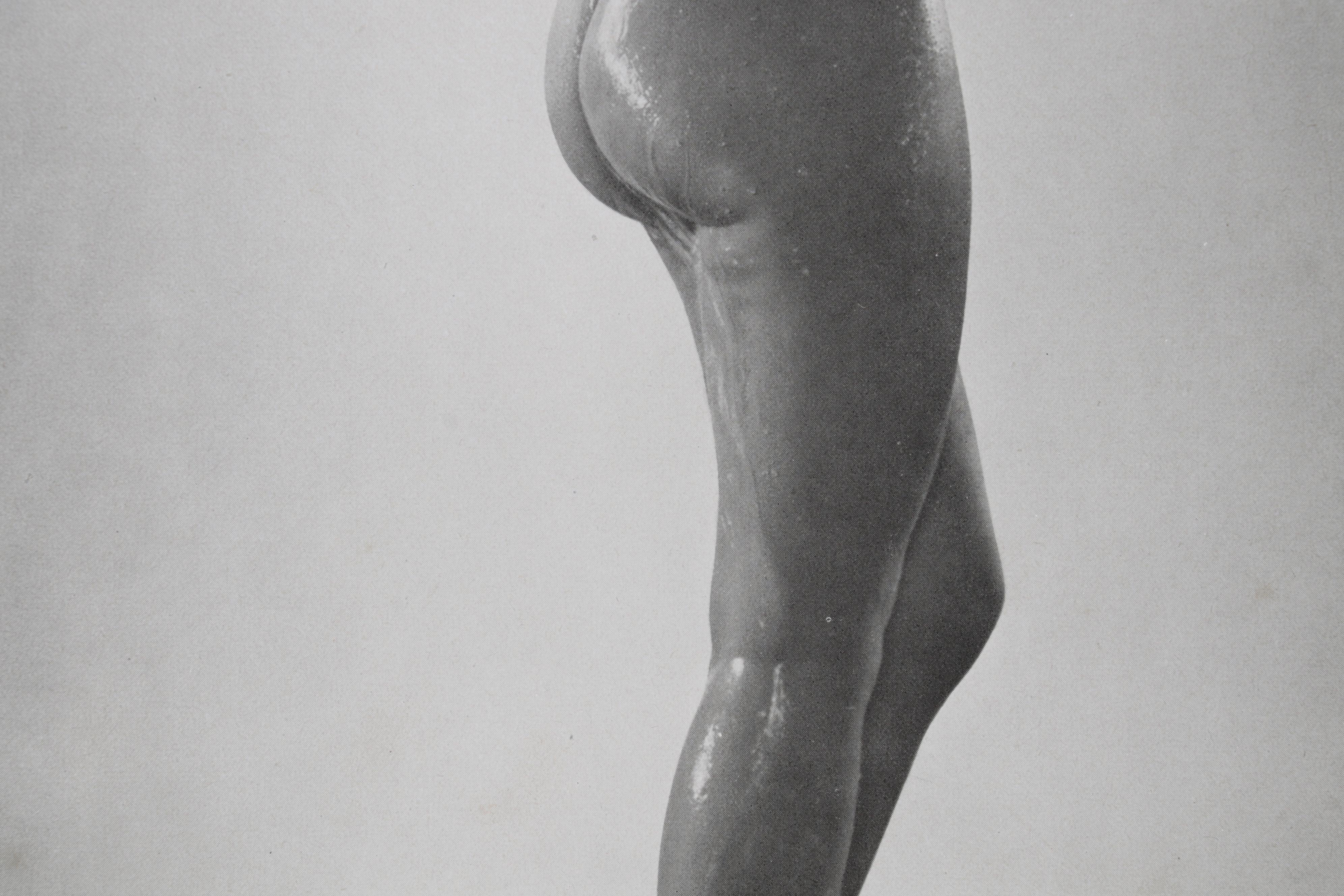 Bruno Schultz Nude Portrait Halftone From "Das Deutsche Aktwerk," Circa 1940